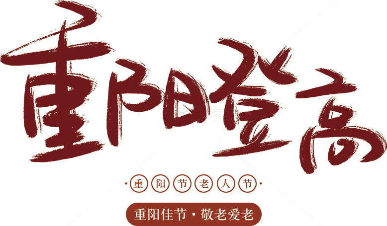 重阳节传统文化与敬老精神素材