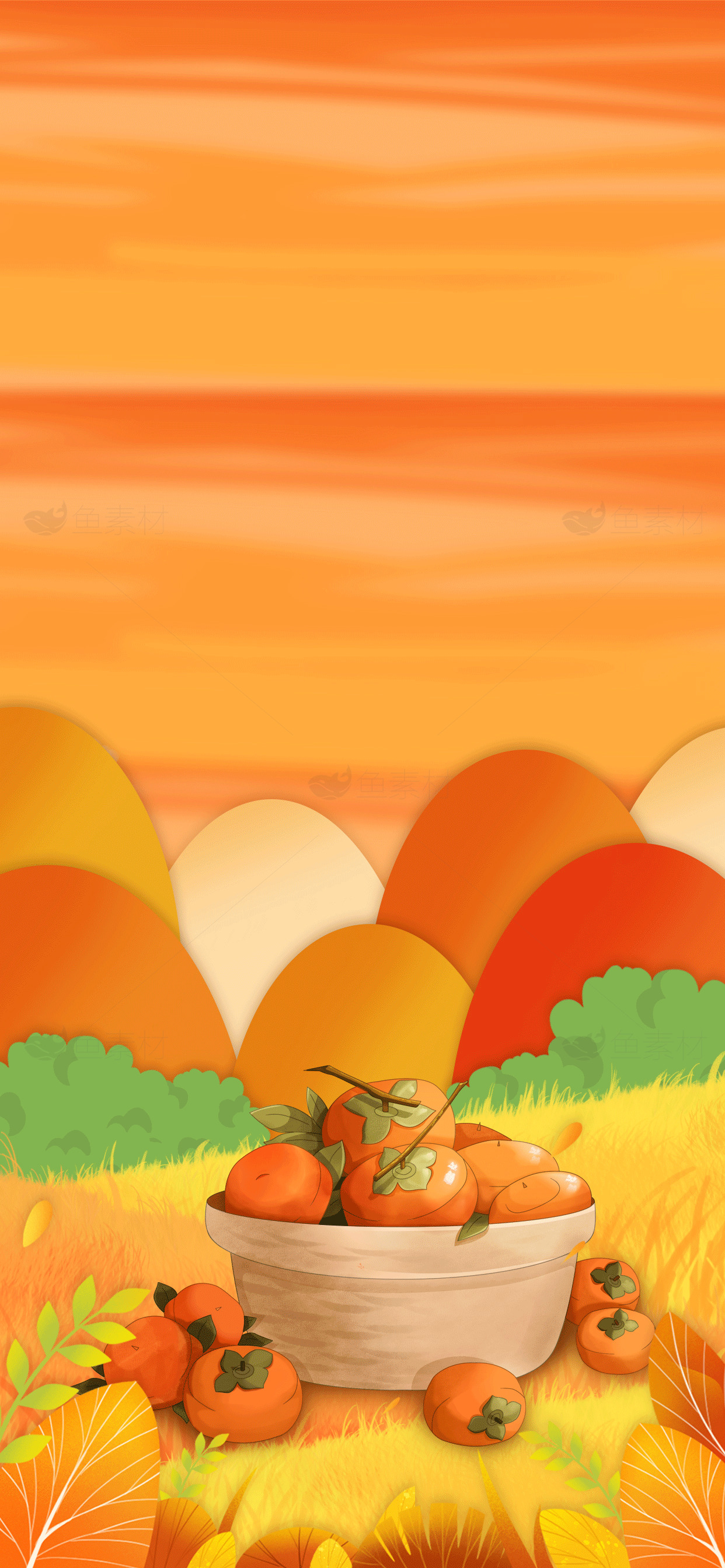 秋季丰收插画：柿子与田园风光素材