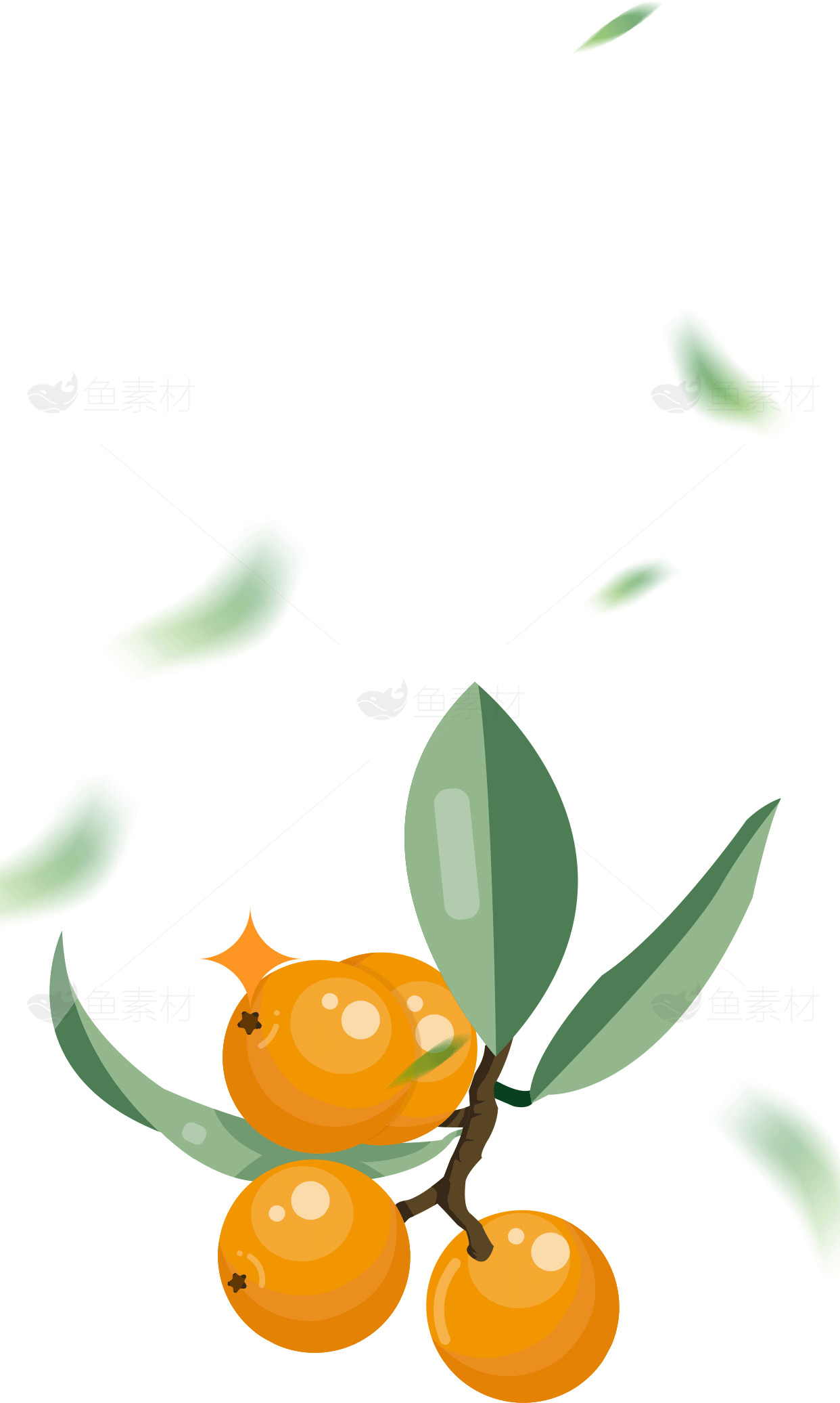插画风格的橙色果实与绿叶设计素材