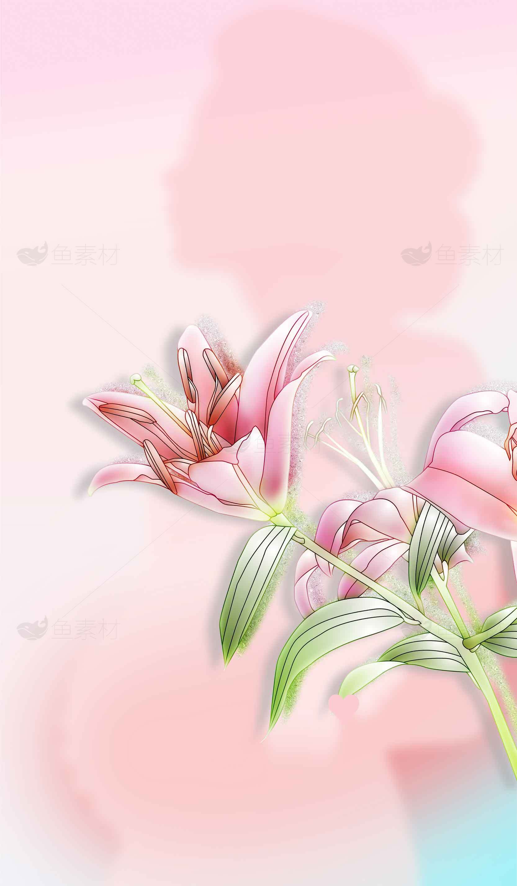 粉色百合花背景图片唯美设计素材