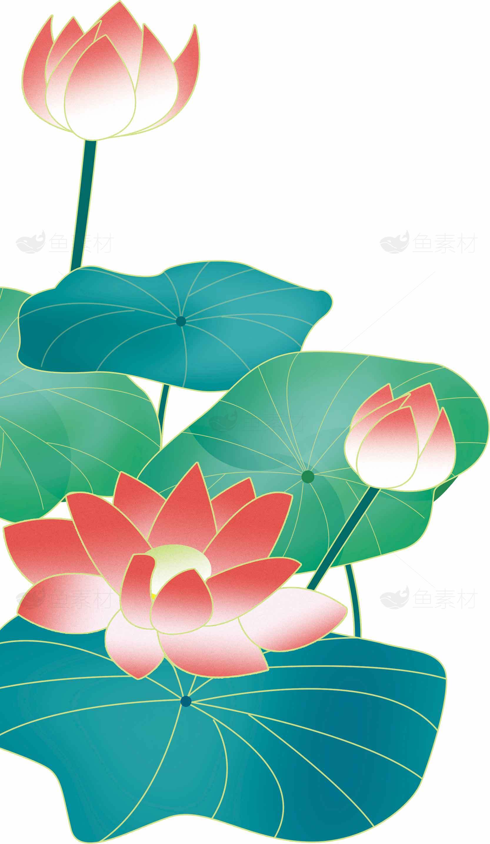 荷花主题插画设计高清图片素材