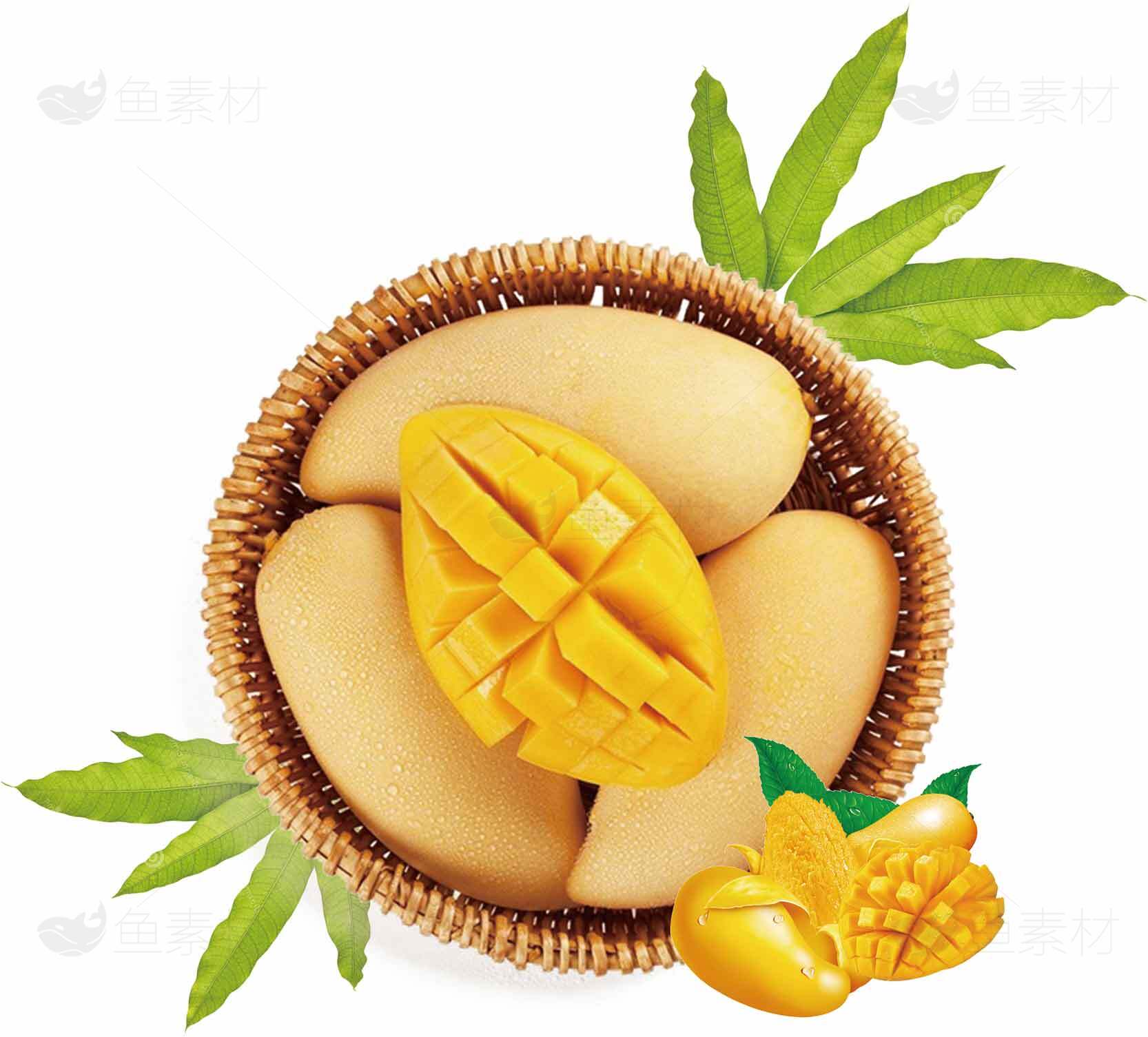 新鲜芒果篮子图片-热带水果高清素材