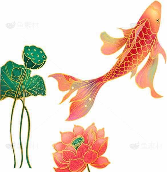 锦鲤与荷花国风插画设计素材