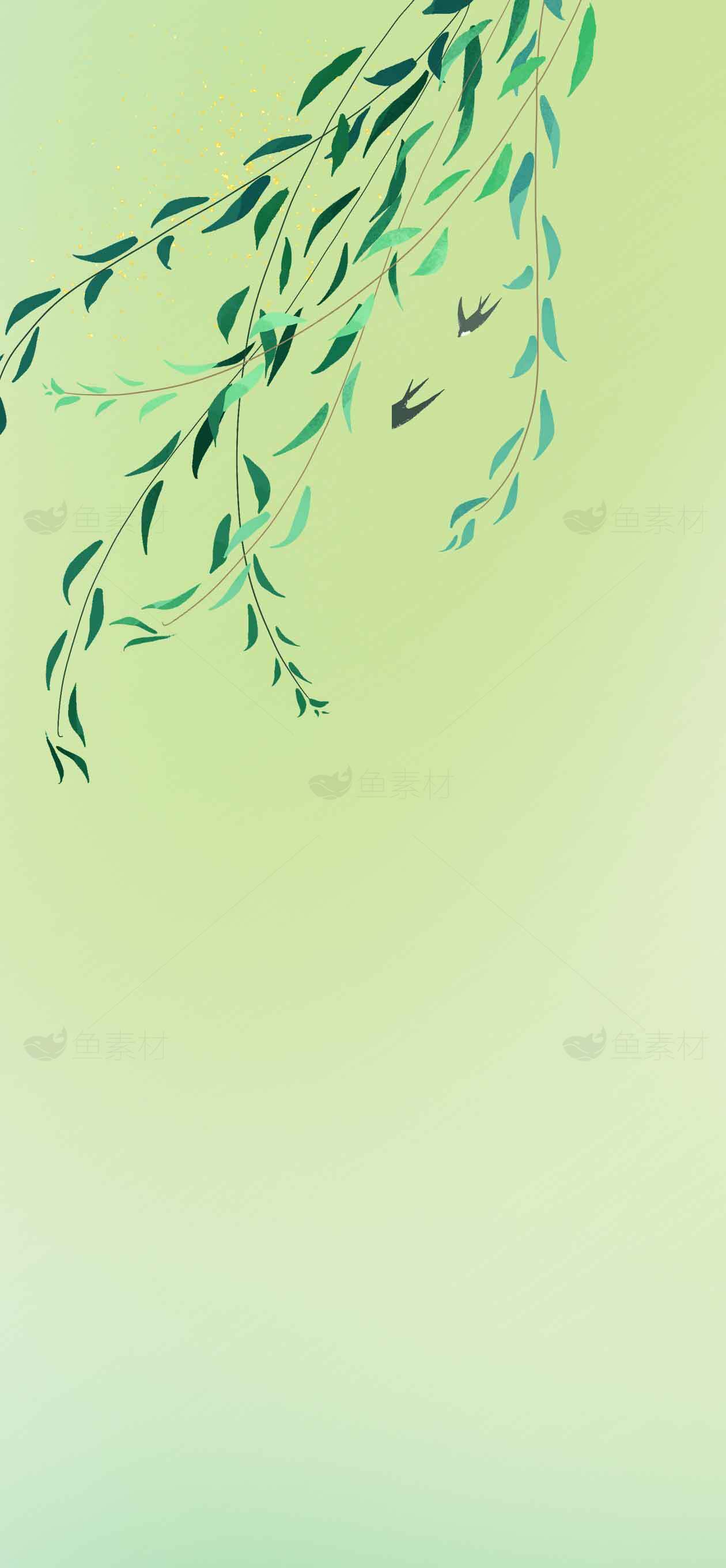 清新绿色柳枝背景图片素材
