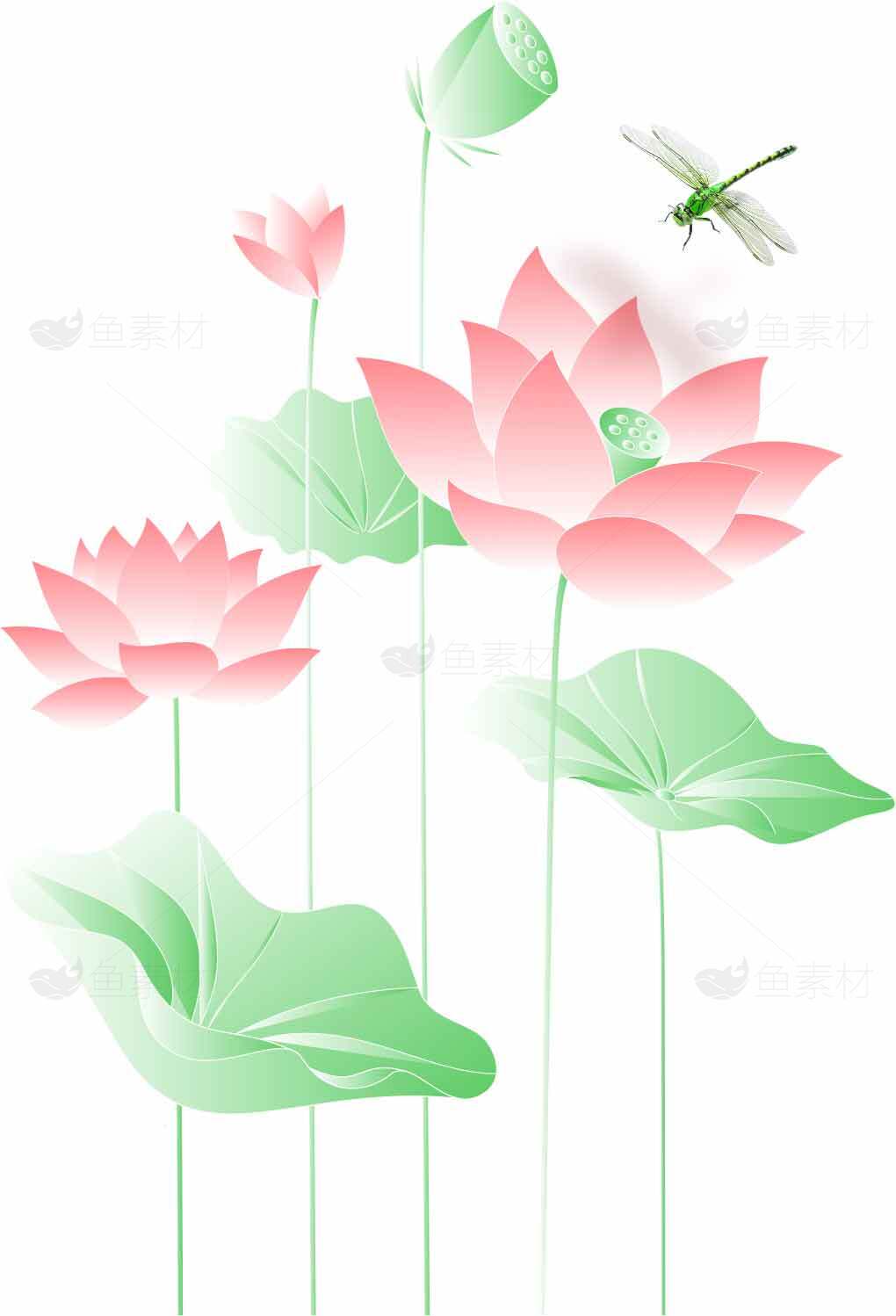 清新荷花与蜻蜓插画设计素材