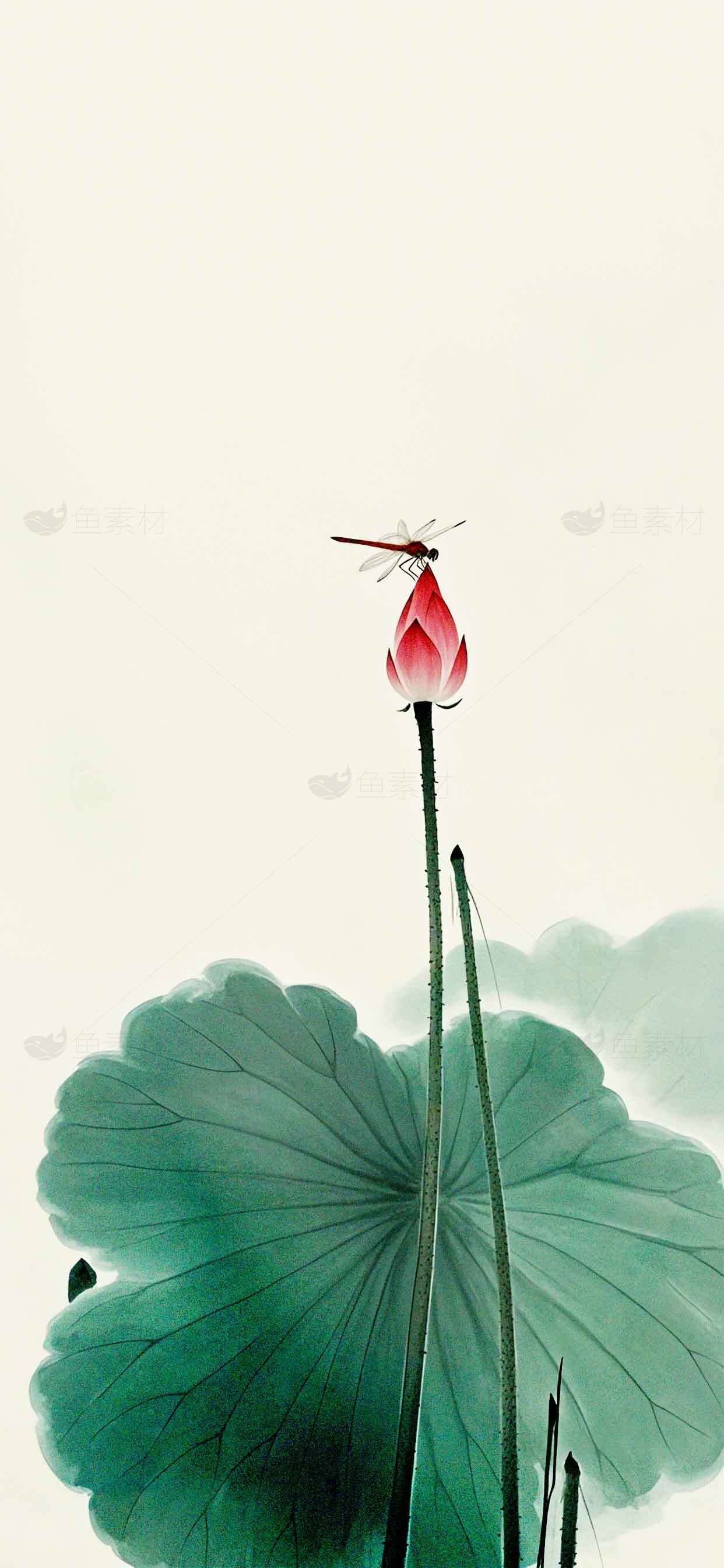 荷花与蜻蜓的唯美意境插画素材