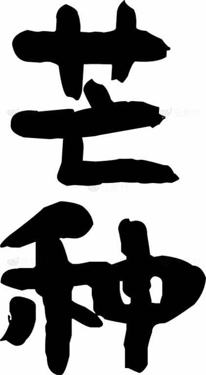 艺术字体设计：芒种黑白创意素材