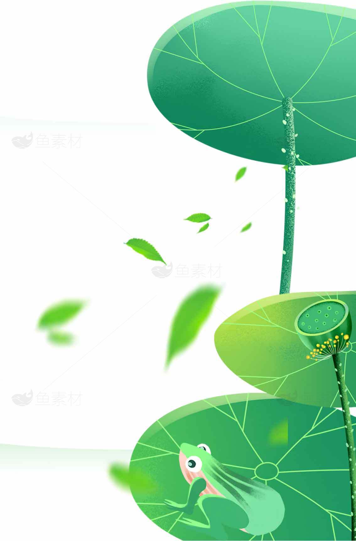 清新荷叶与青蛙插画图片素材