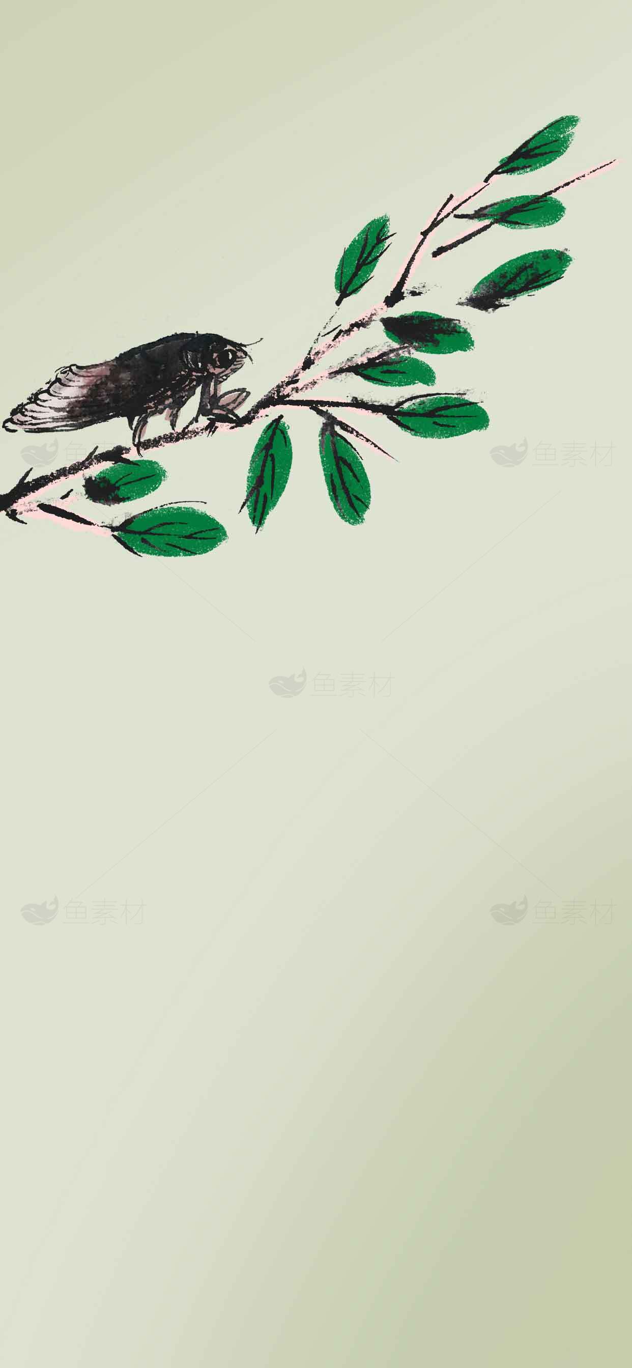 中国水墨画蝉与绿叶意境图片素材