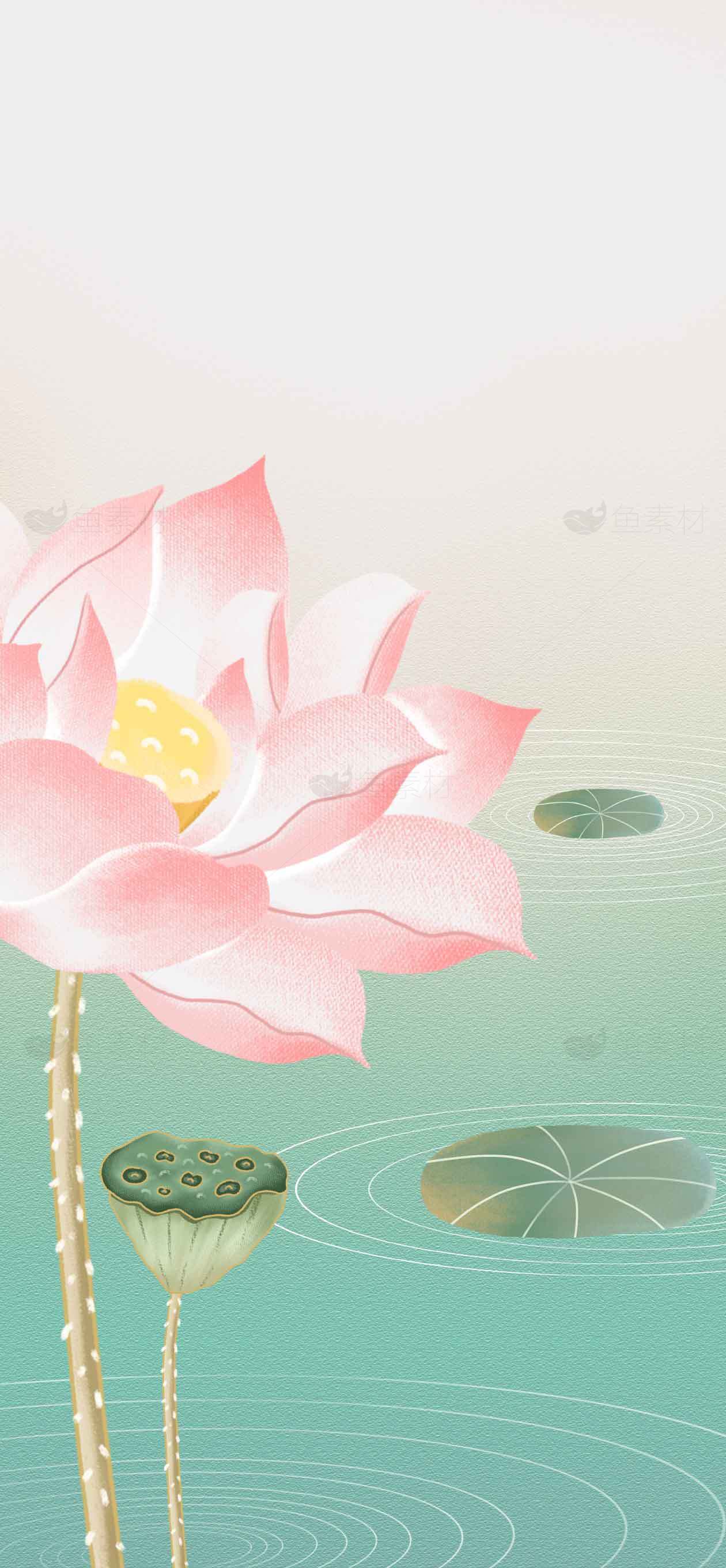 唯美荷花背景图片素材
