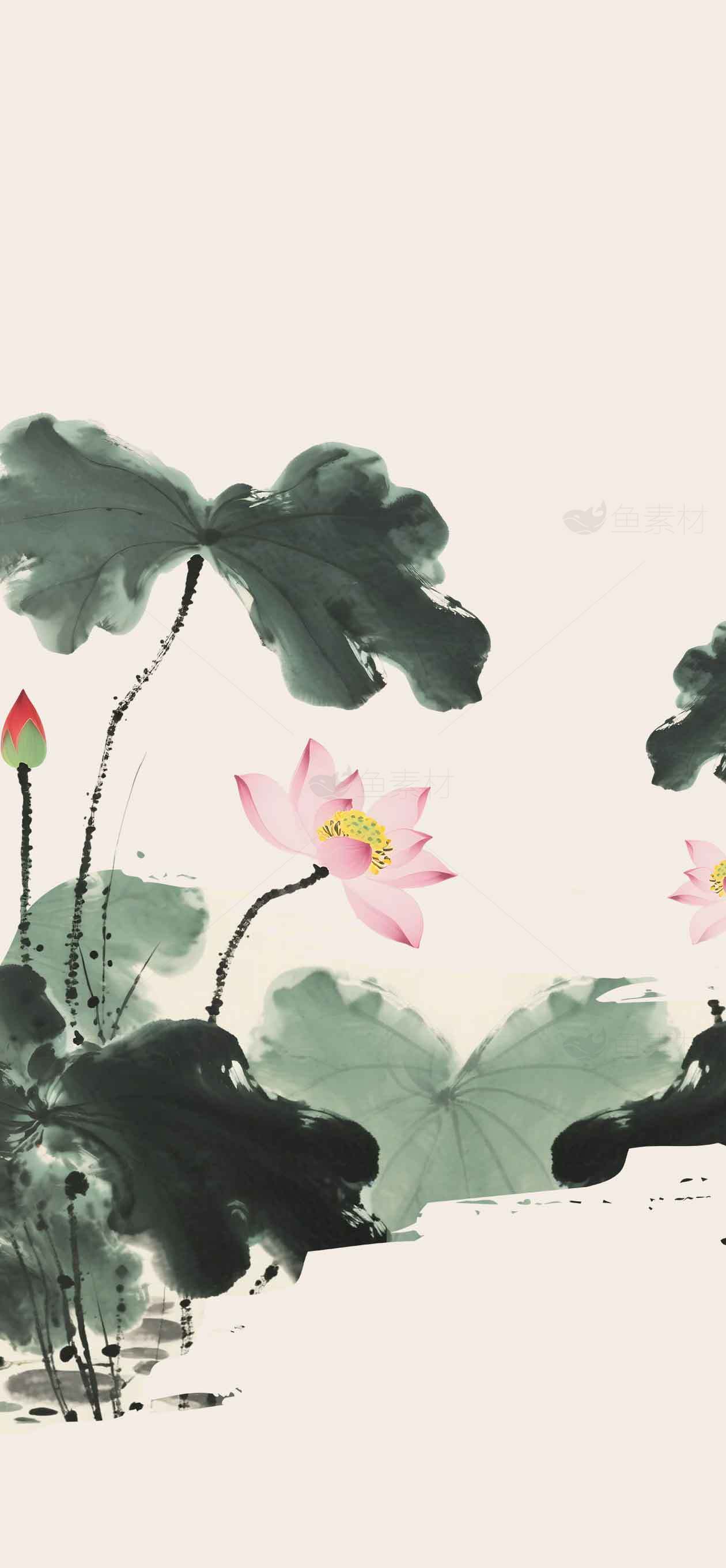 中国传统水墨画荷花图片素材