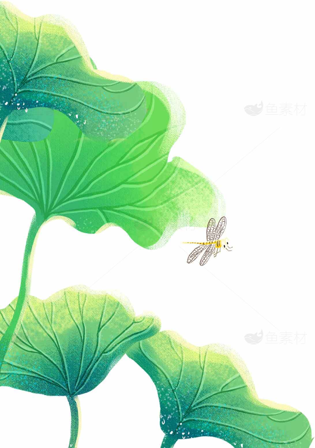 清新荷叶与蜻蜓插画背景图片素材