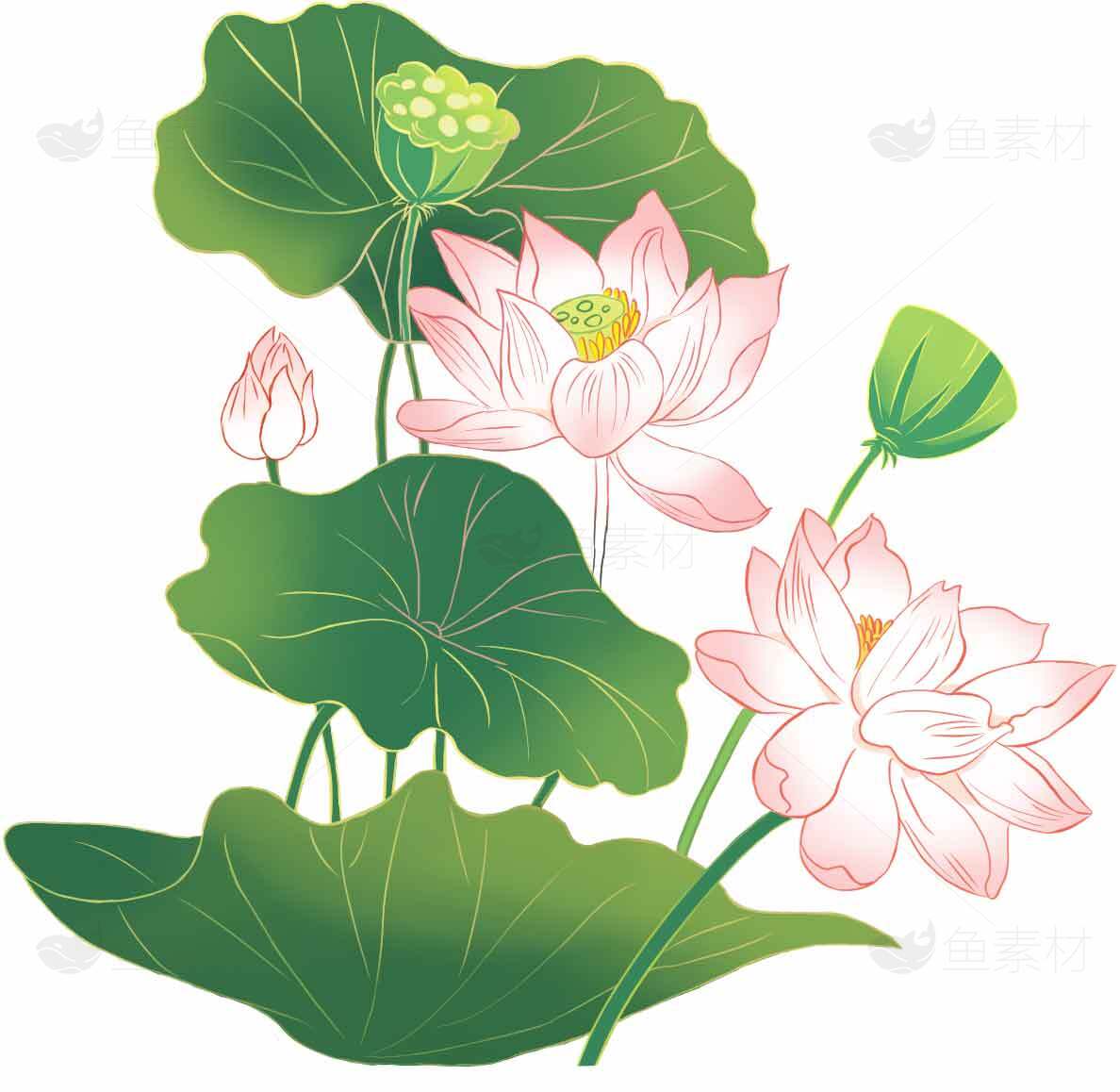 荷花主题清新风格插画设计图片素材