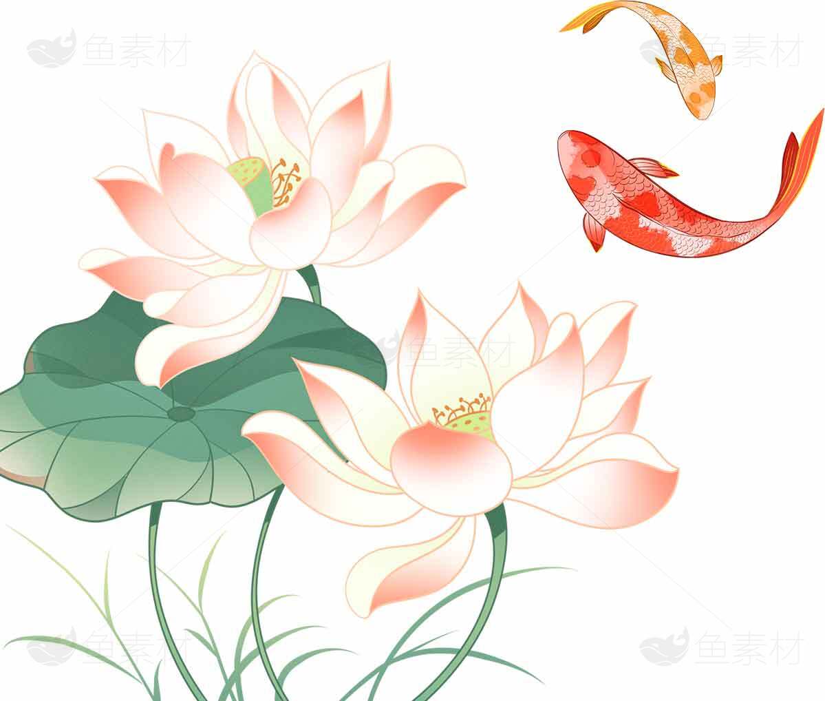 唯美荷花与锦鲤插画设计图片素材
