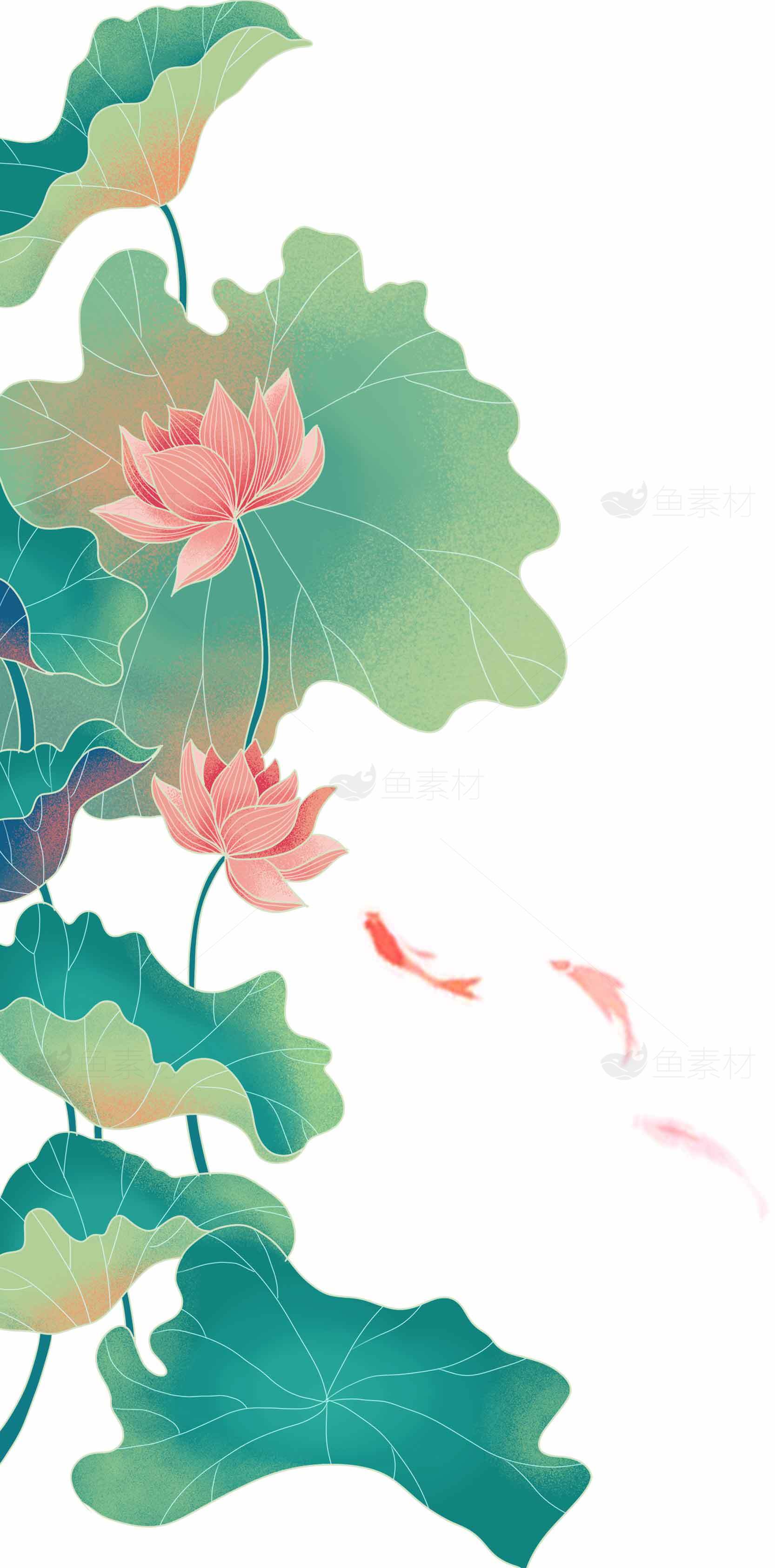 唯美锦鲤与荷花插画设计图集素材