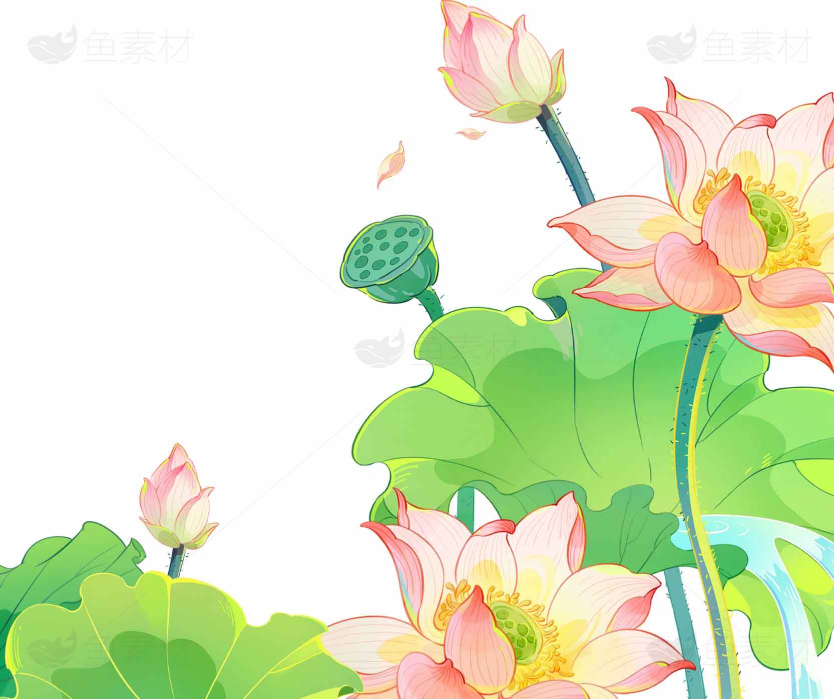 荷花主题清新风格插画背景图素材