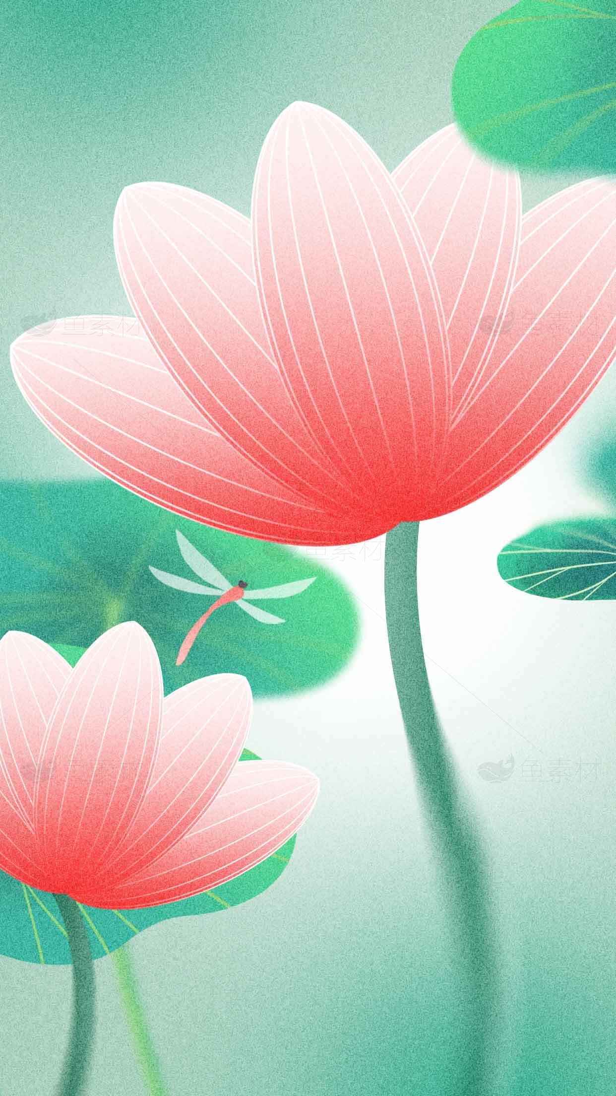 唯美蜻蜓与荷花插画背景图素材