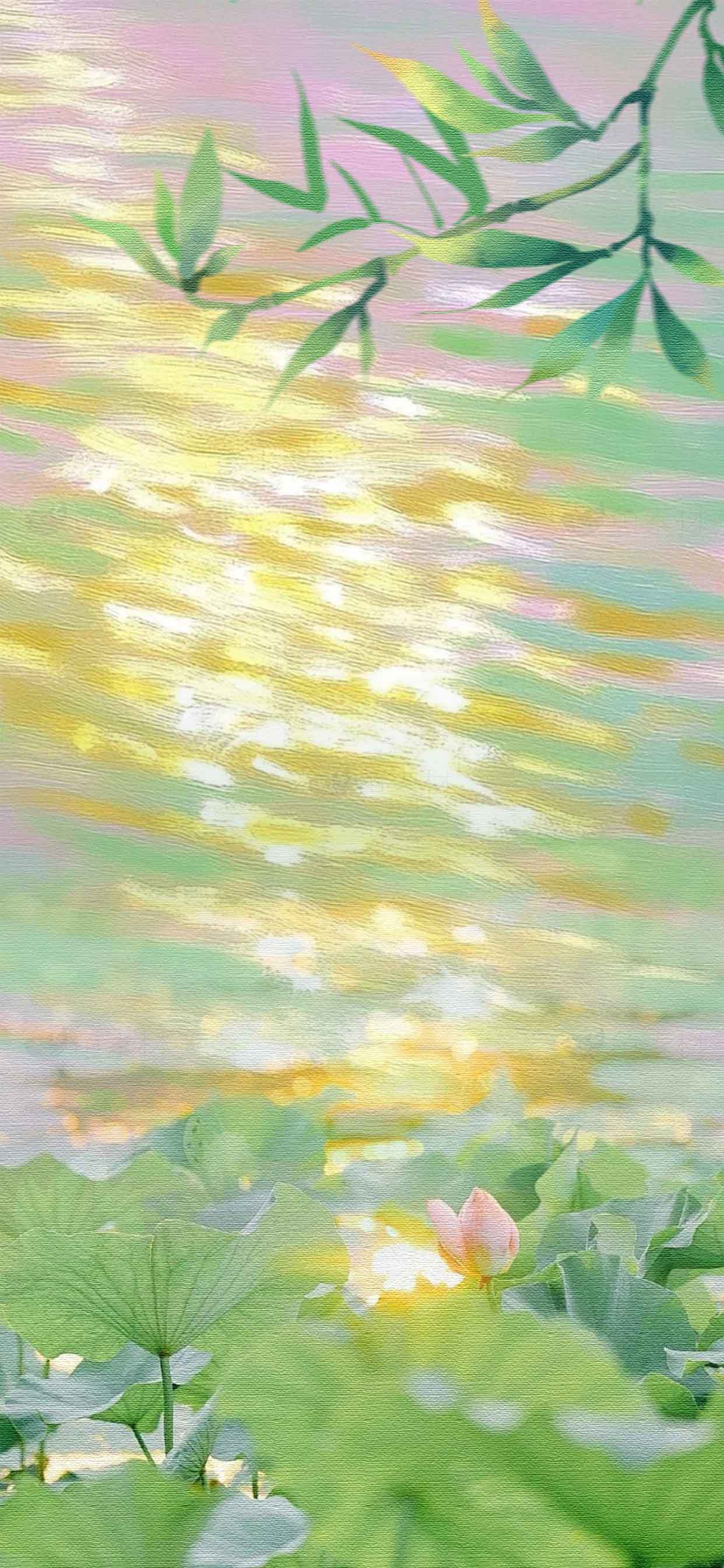 唯美荷塘风景壁纸素材