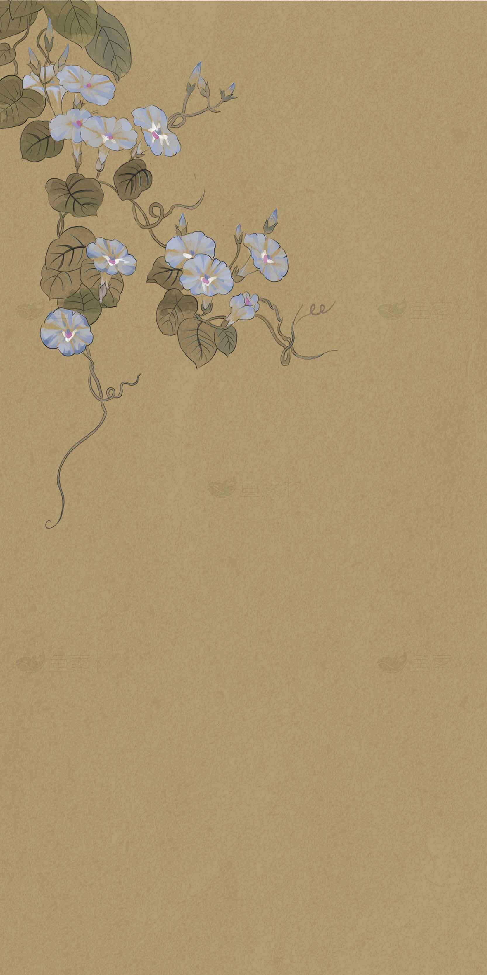 中国传统花卉插画：牵牛花与复古背景素材