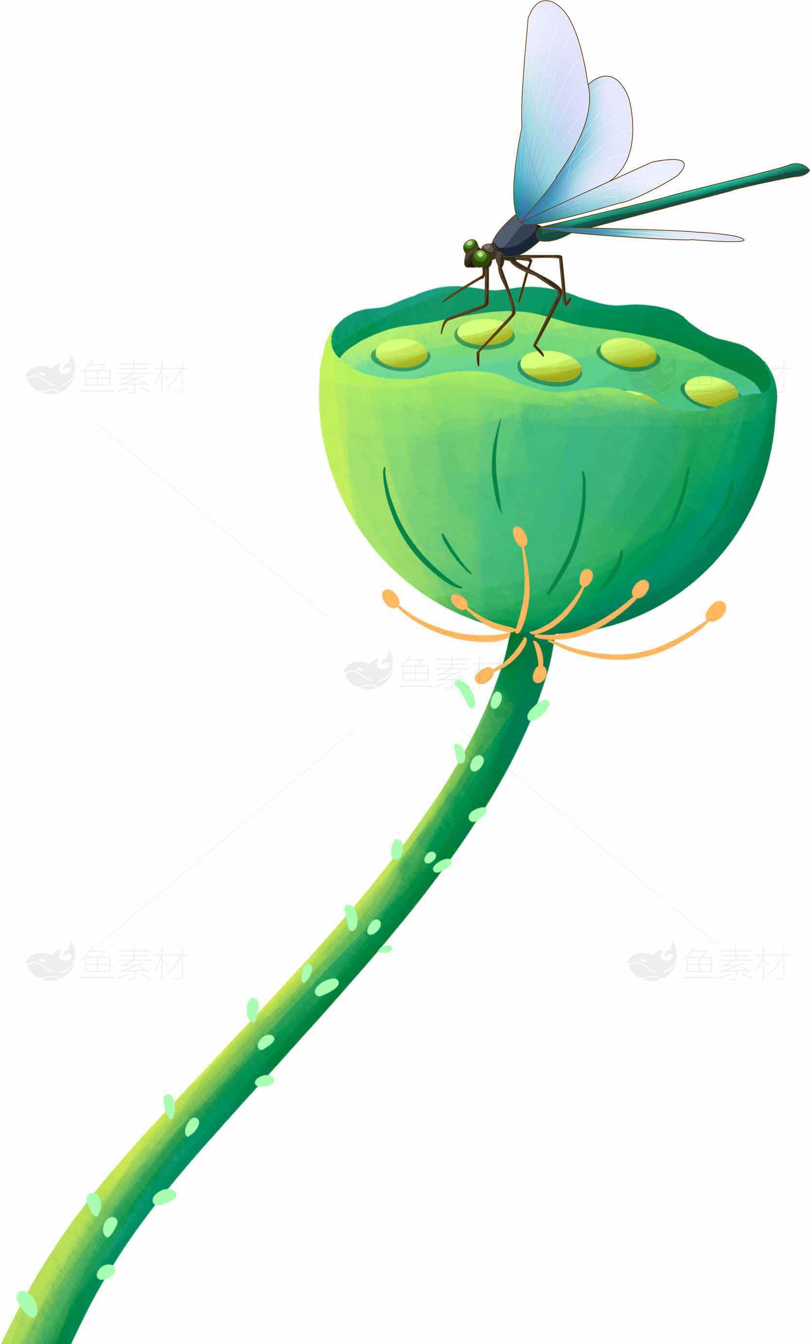 蜻蜓停在莲蓬上的唯美插画图片素材