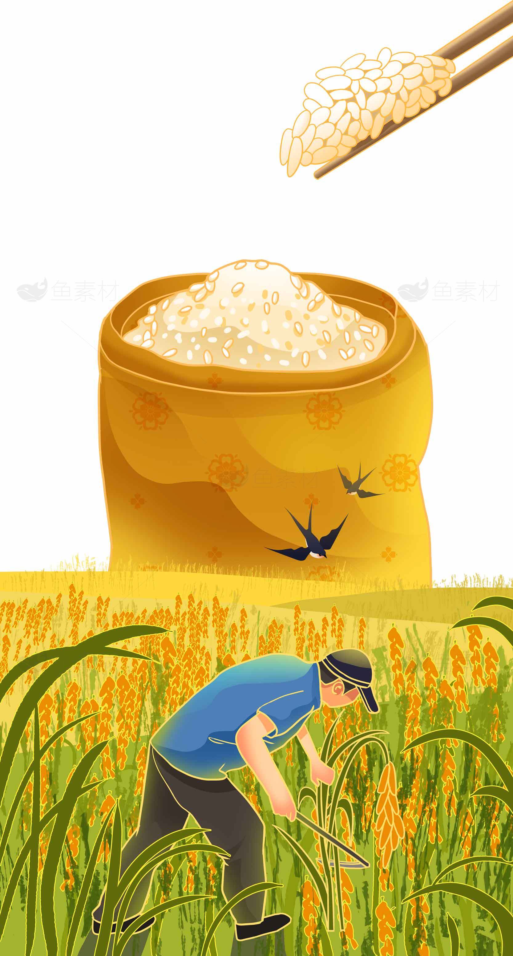 稻米丰收与农民劳作插画素材