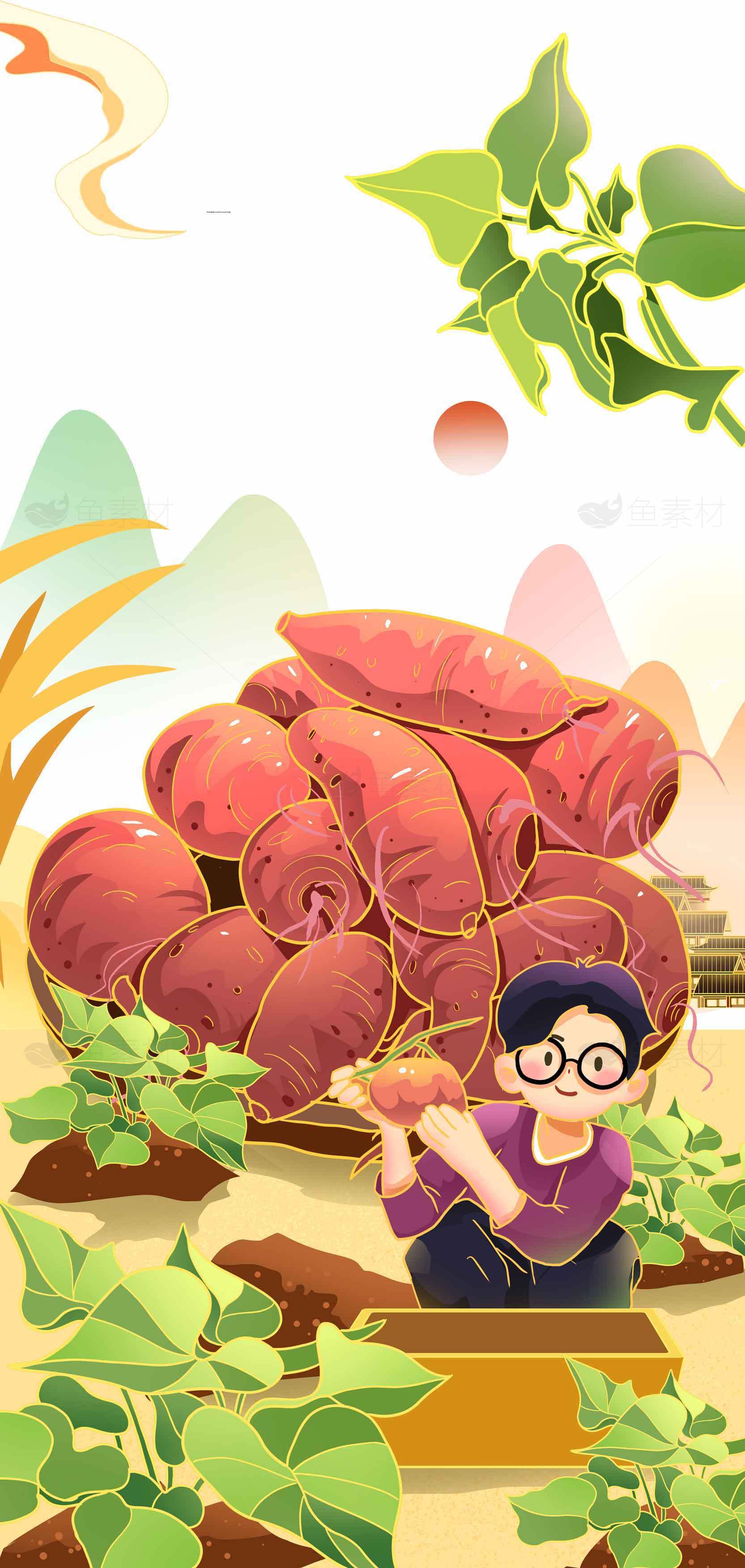 丰收季节红薯插画设计素材