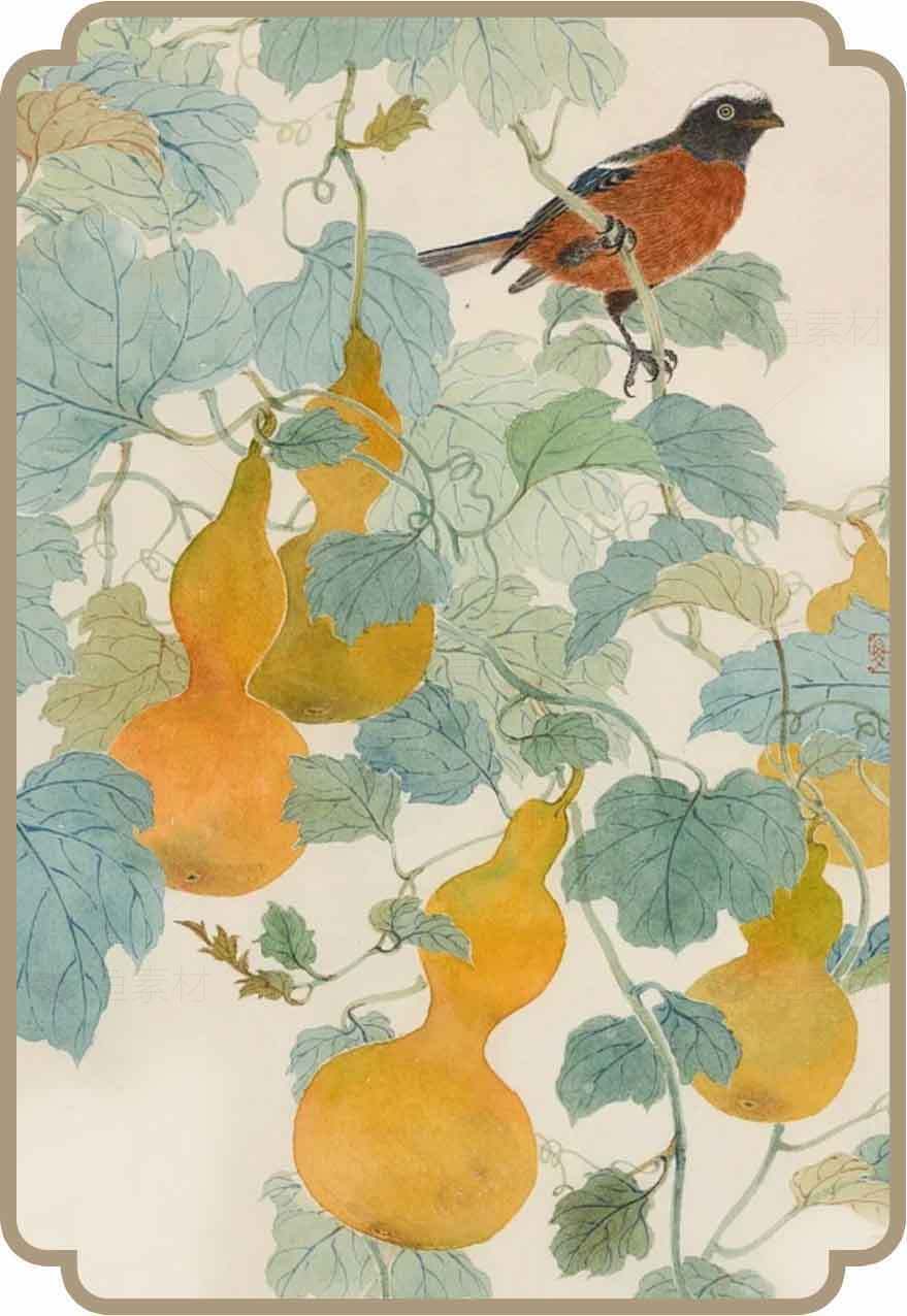 秋季南瓜与鸟的自然艺术插画素材