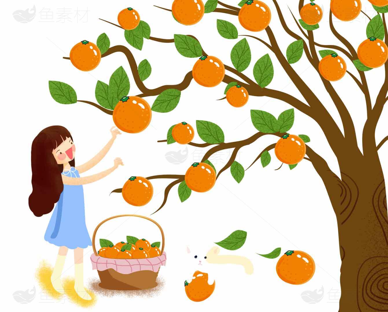 女孩采摘橙子插画图片素材