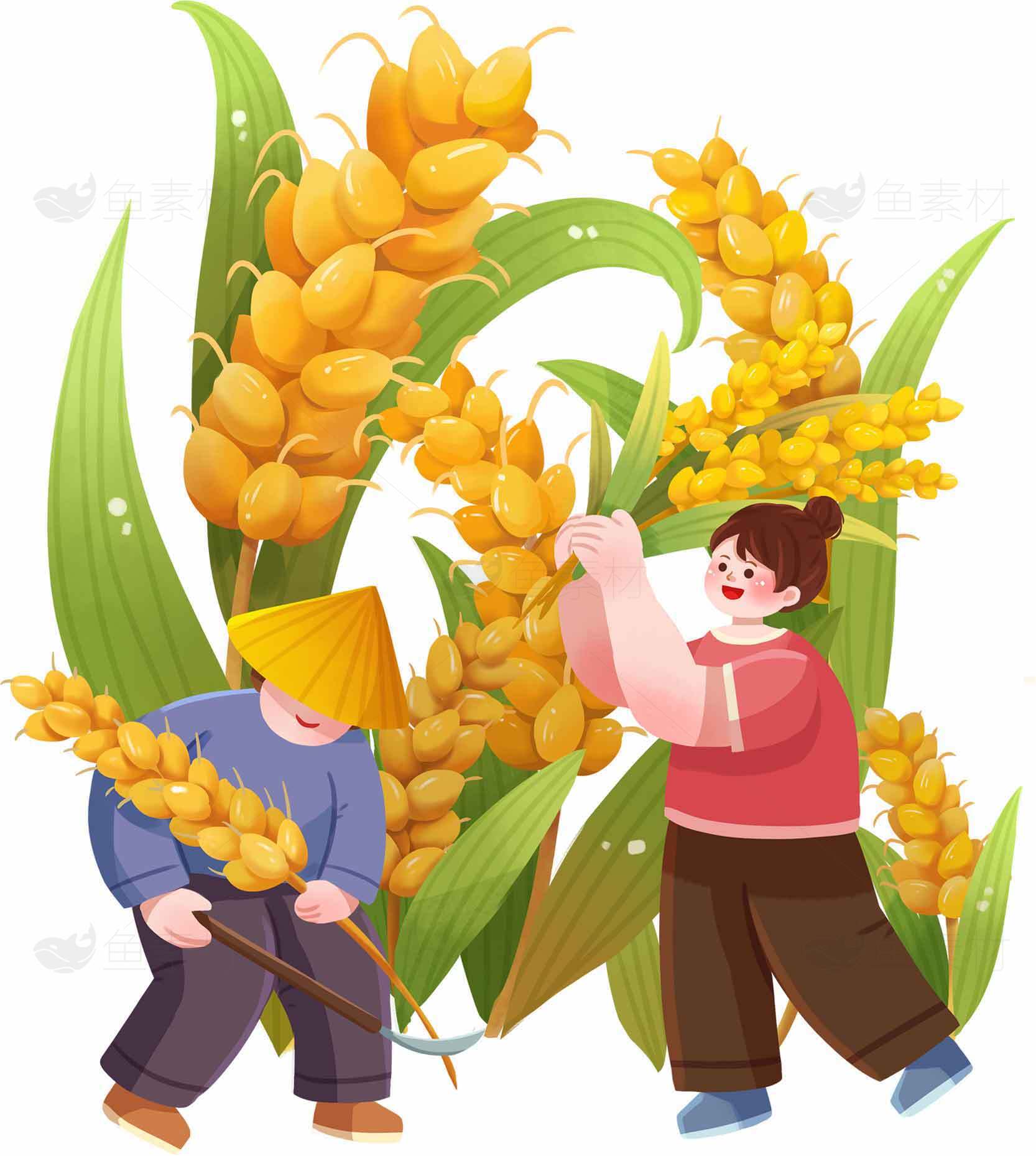 丰收季节农民采摘稻谷插画图片素材