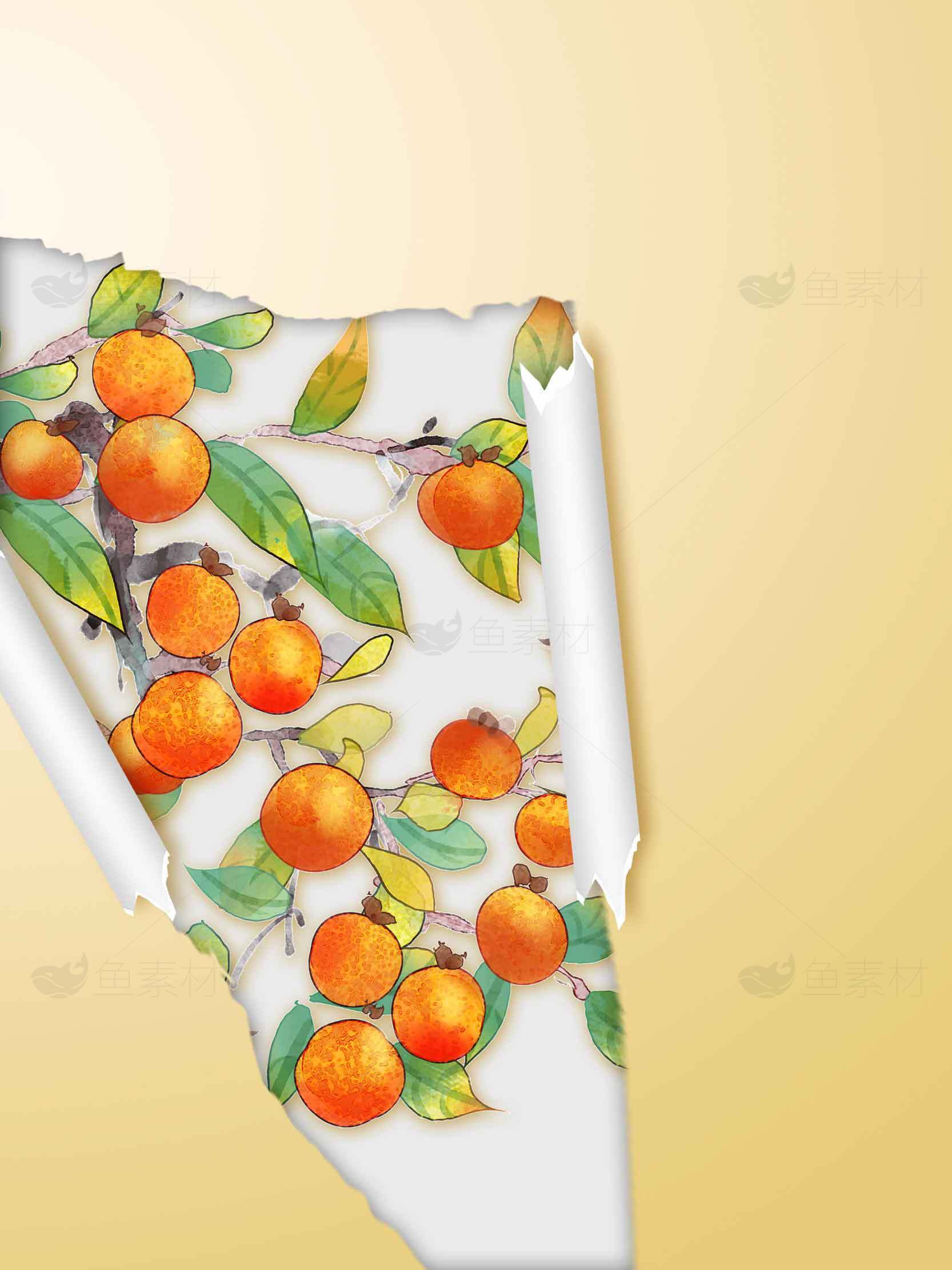 手绘橙子插画背景设计图片素材