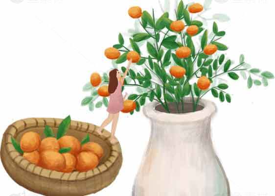 橘子树与果篮插画设计素材