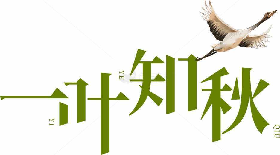 一叶知秋主题设计图片素材