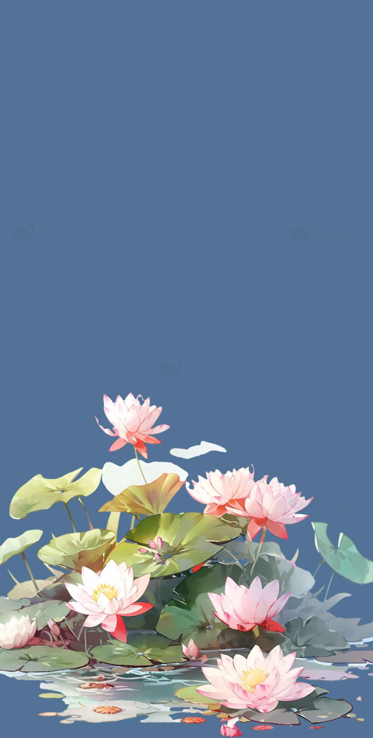 唯美荷花背景插画图片素材