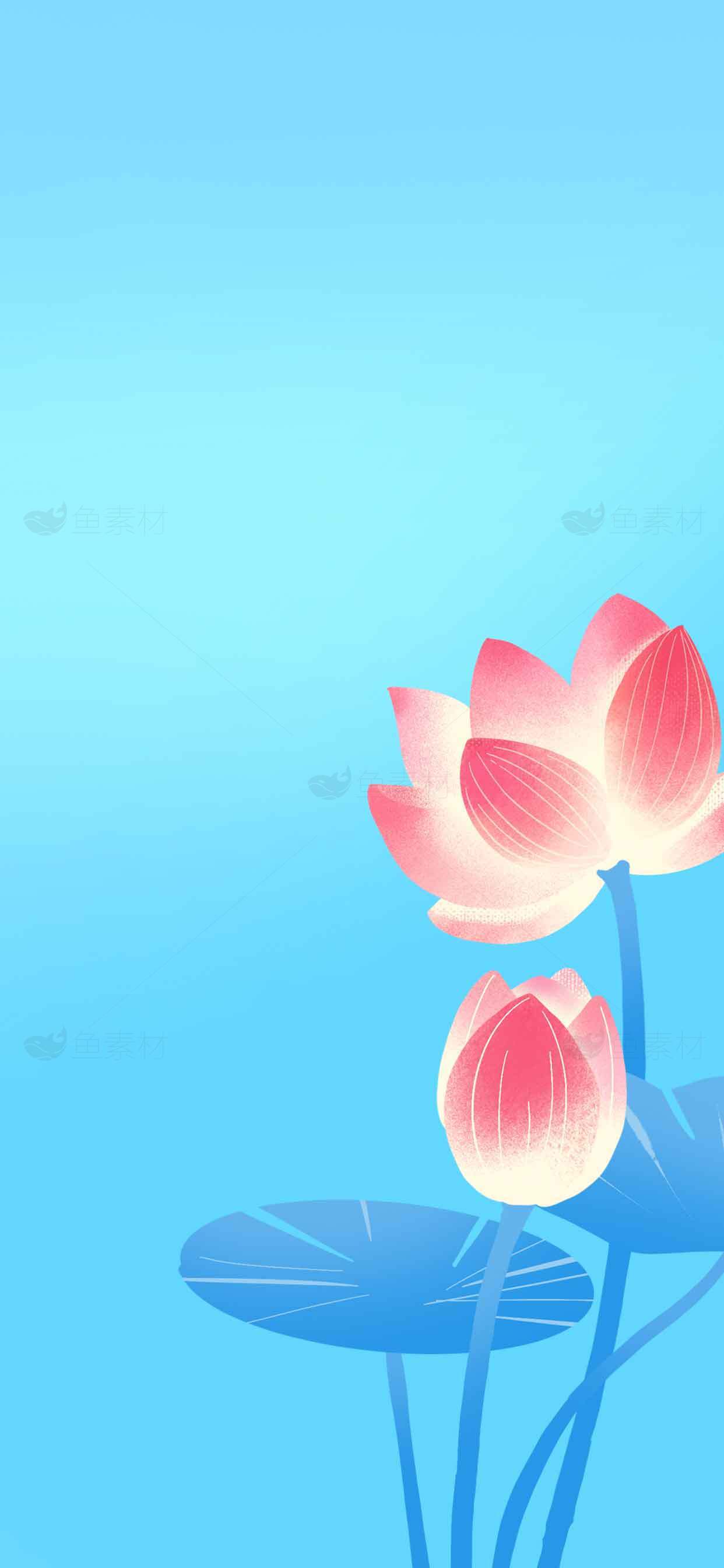 清新蓝色背景荷花插画图片素材