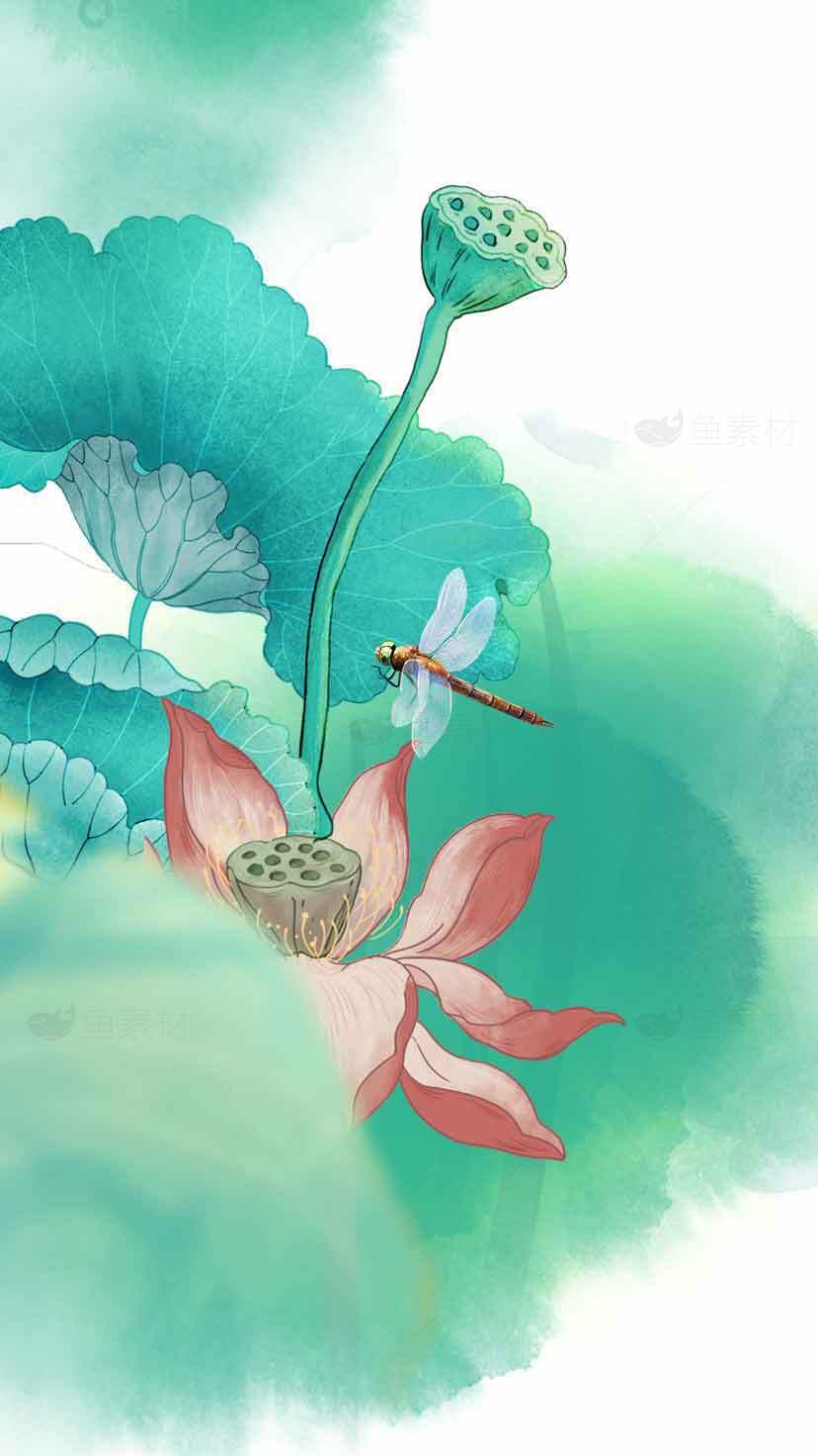 国风插画唯美荷花与蜻蜓图片素材