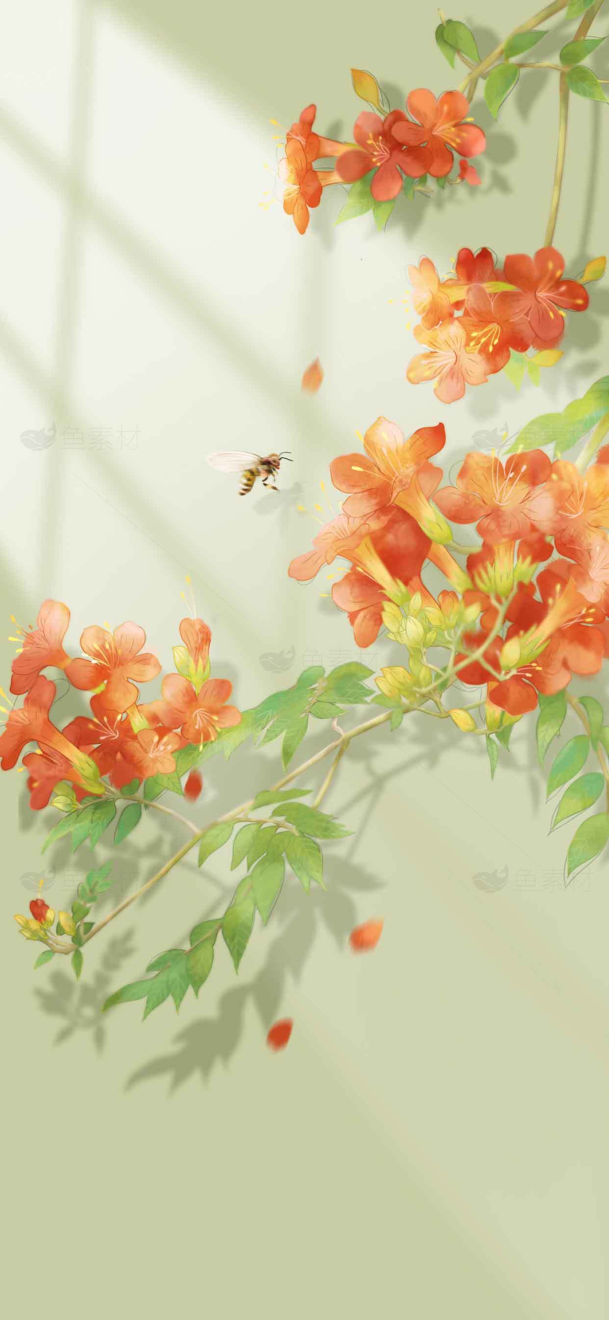 夏日庭院里的橙色凌霄花与蜜蜂插画素材
