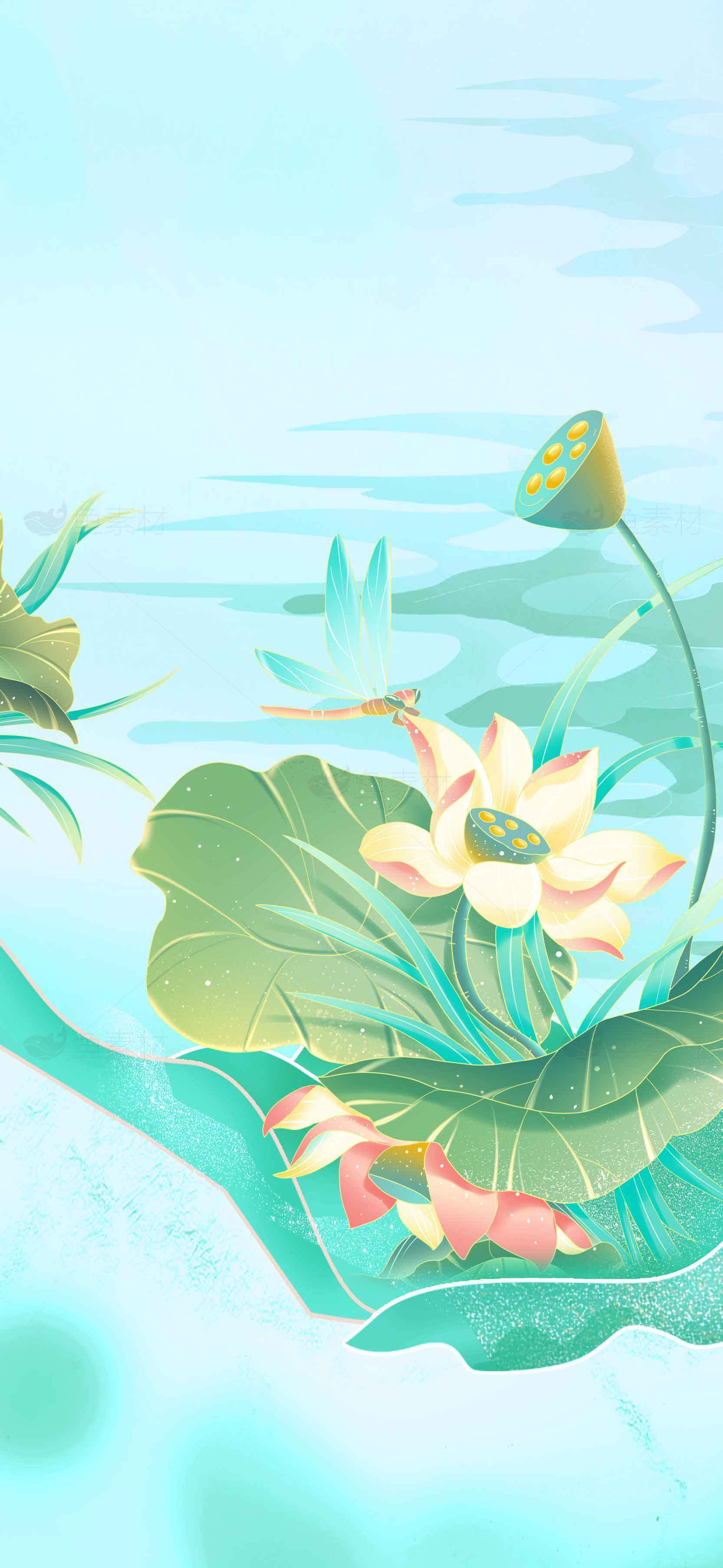 清新荷花水景插画背景图片素材