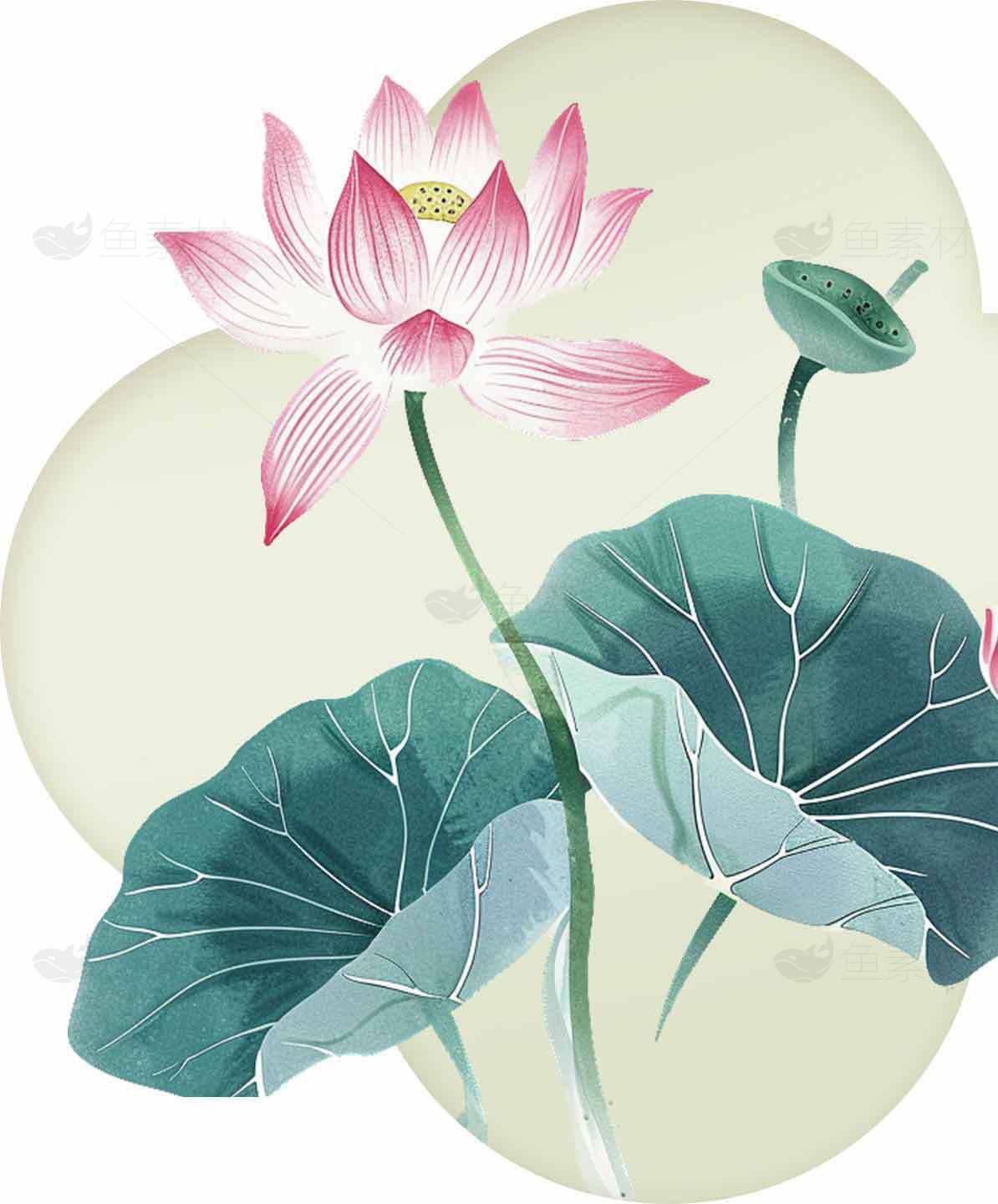 唯美荷花插画设计图片素材