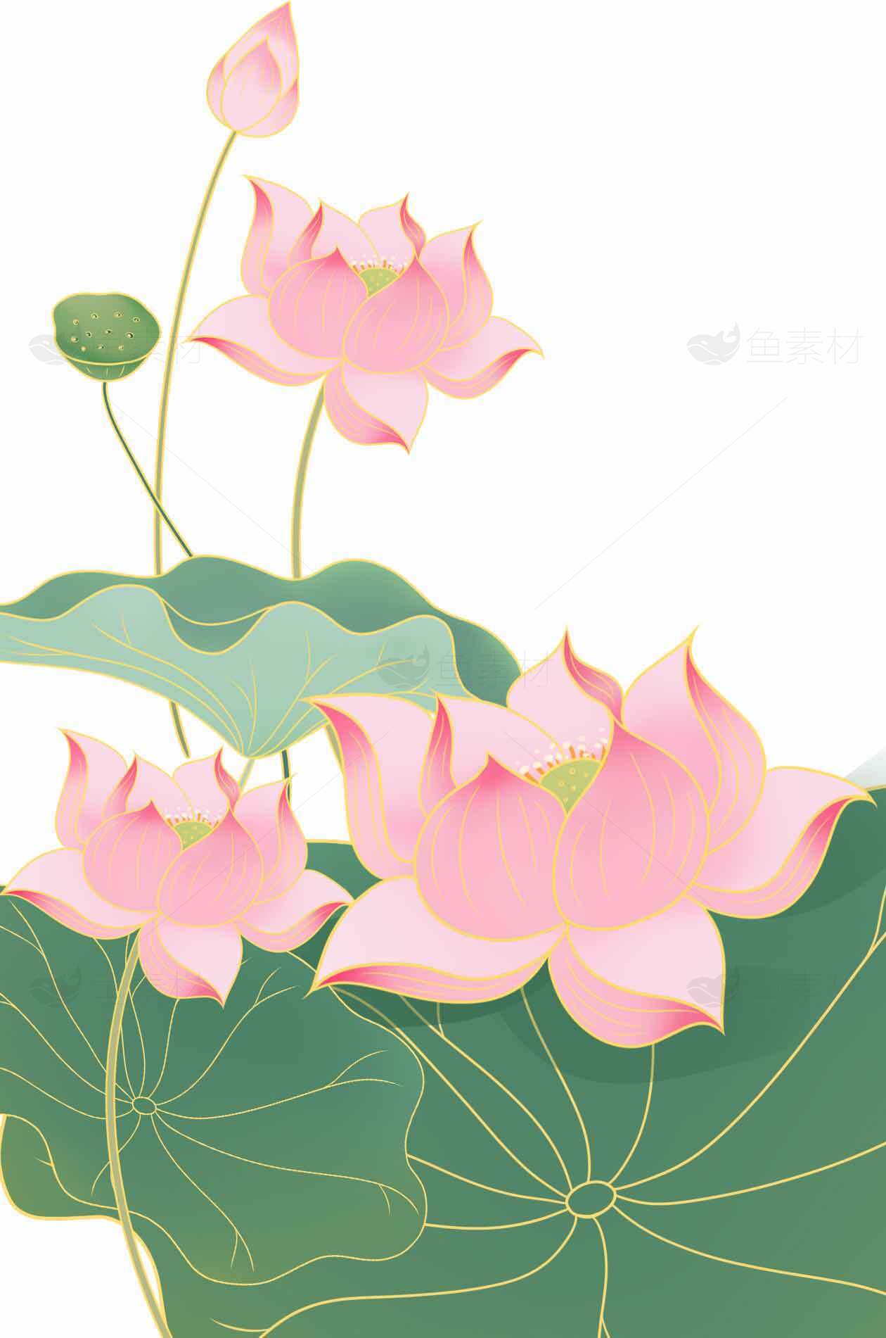 唯美粉色荷花插画图片素材