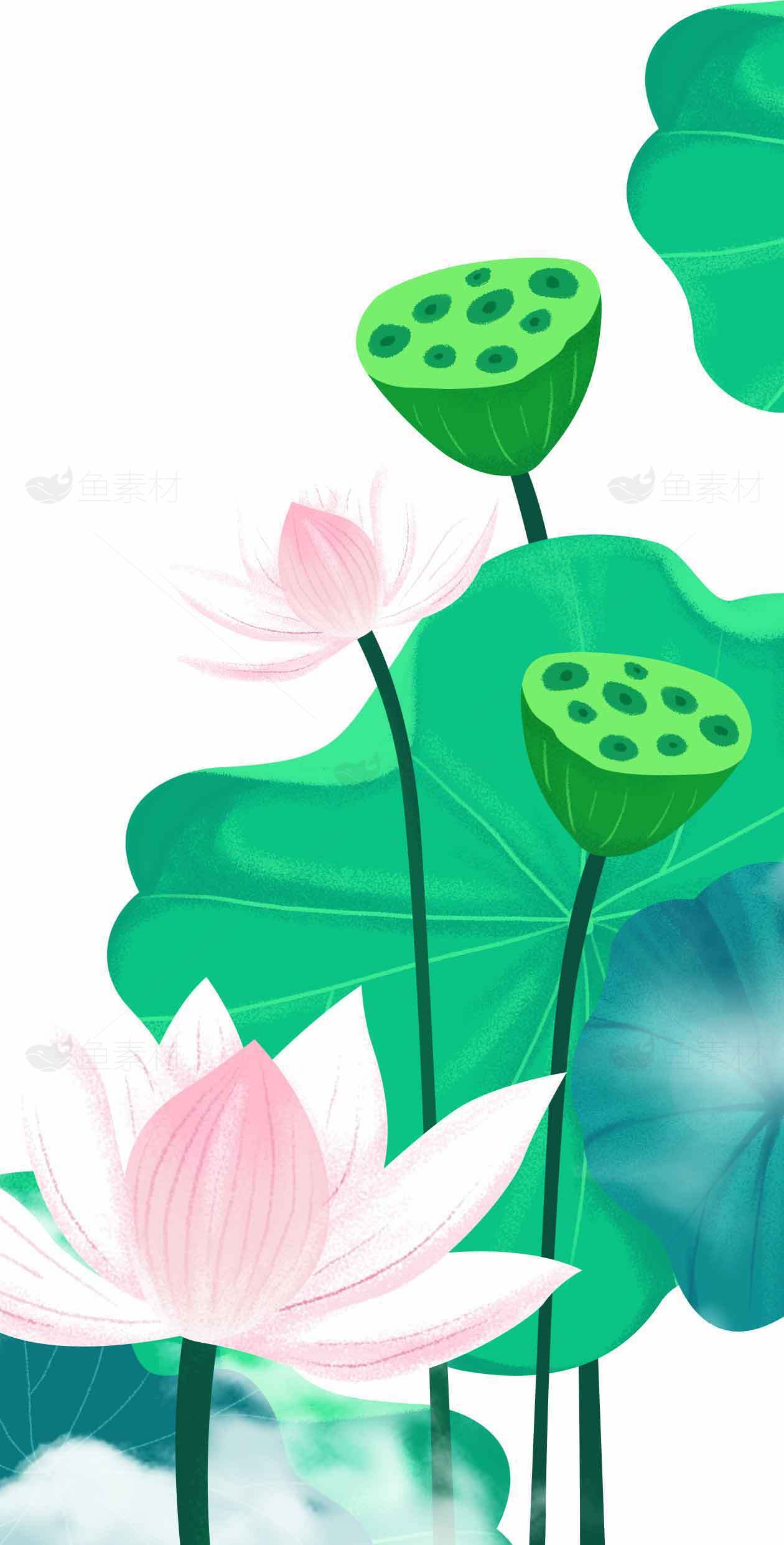 清新荷花与莲蓬插画设计素材
