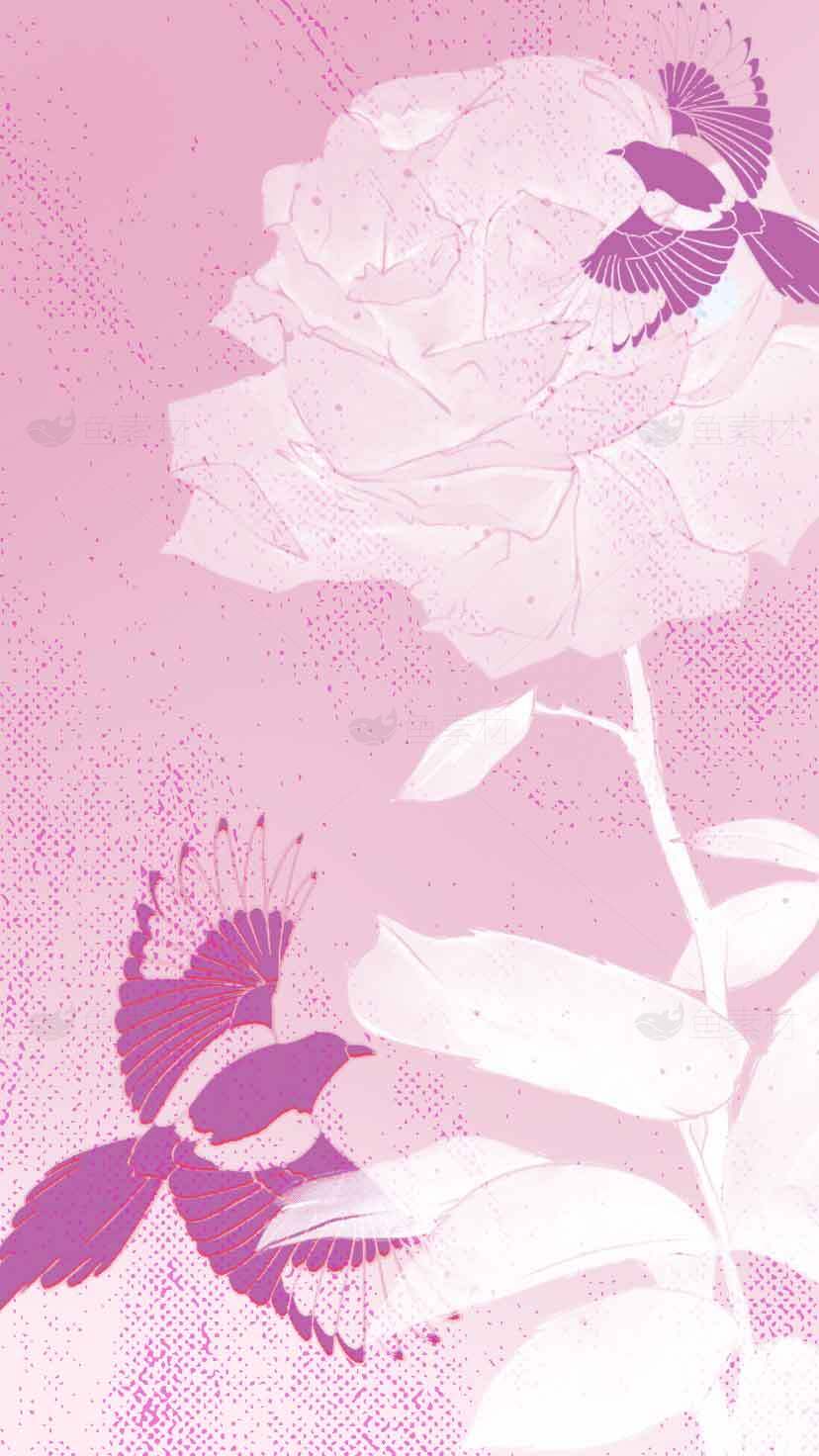 粉色玫瑰与紫色飞鸟插画背景图片素材