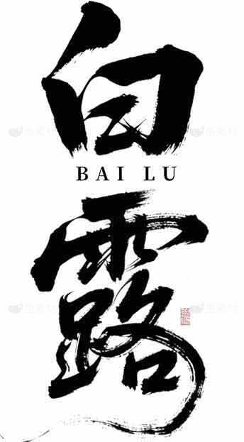 白露节气毛笔字艺术设计素材