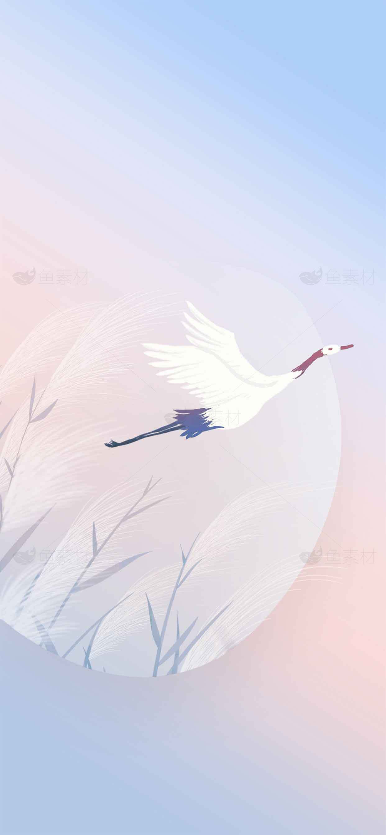 唯美丹顶鹤插画背景图片素材