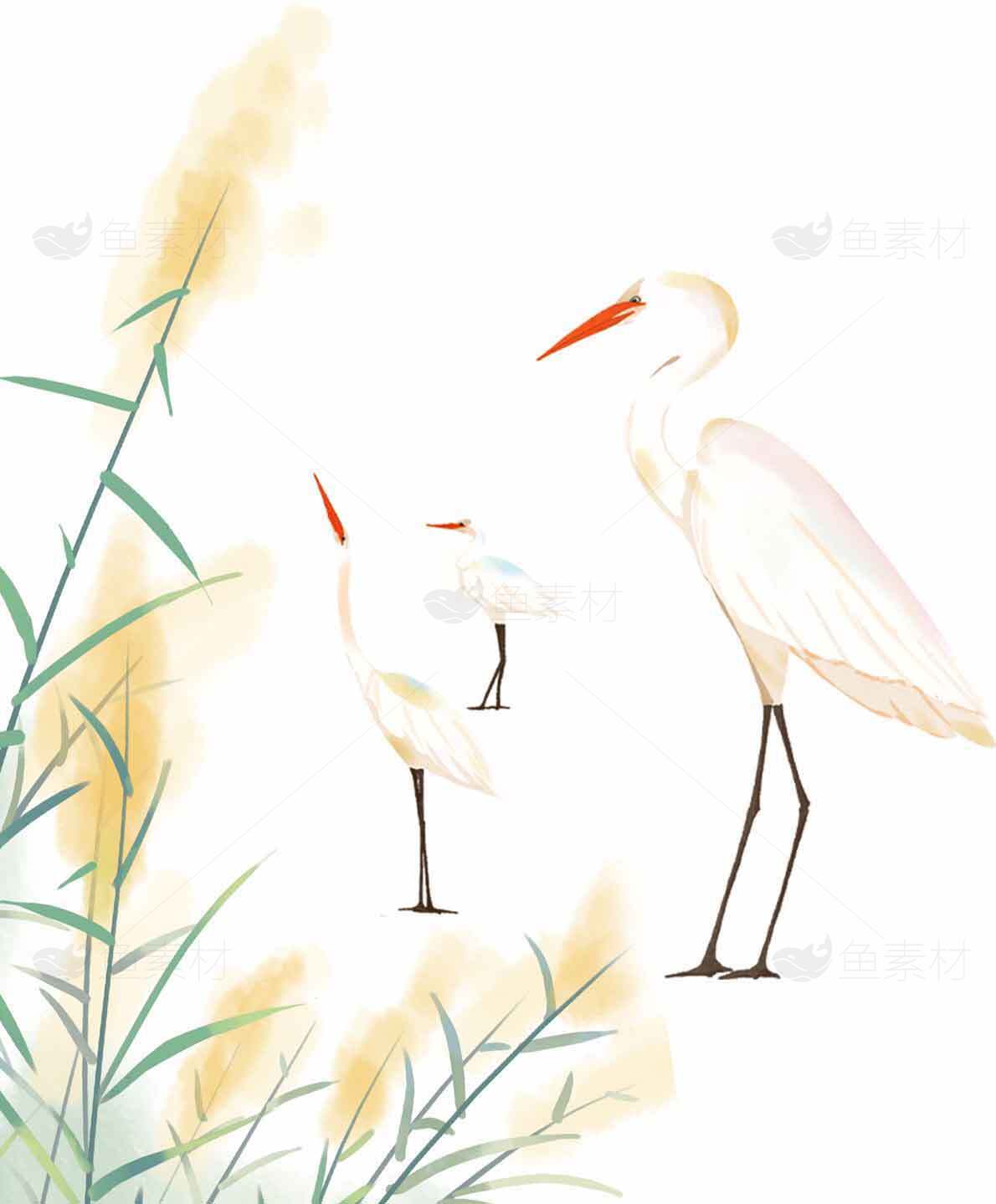 唯美水墨画白鹭与芦苇意境图片素材