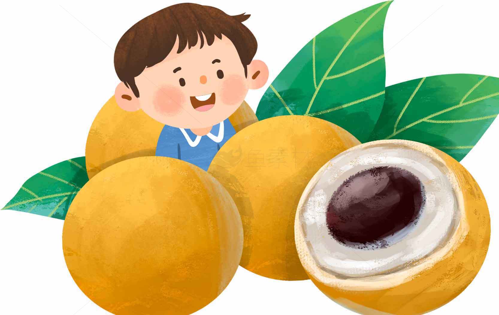 儿童与新鲜龙眼插画图片素材