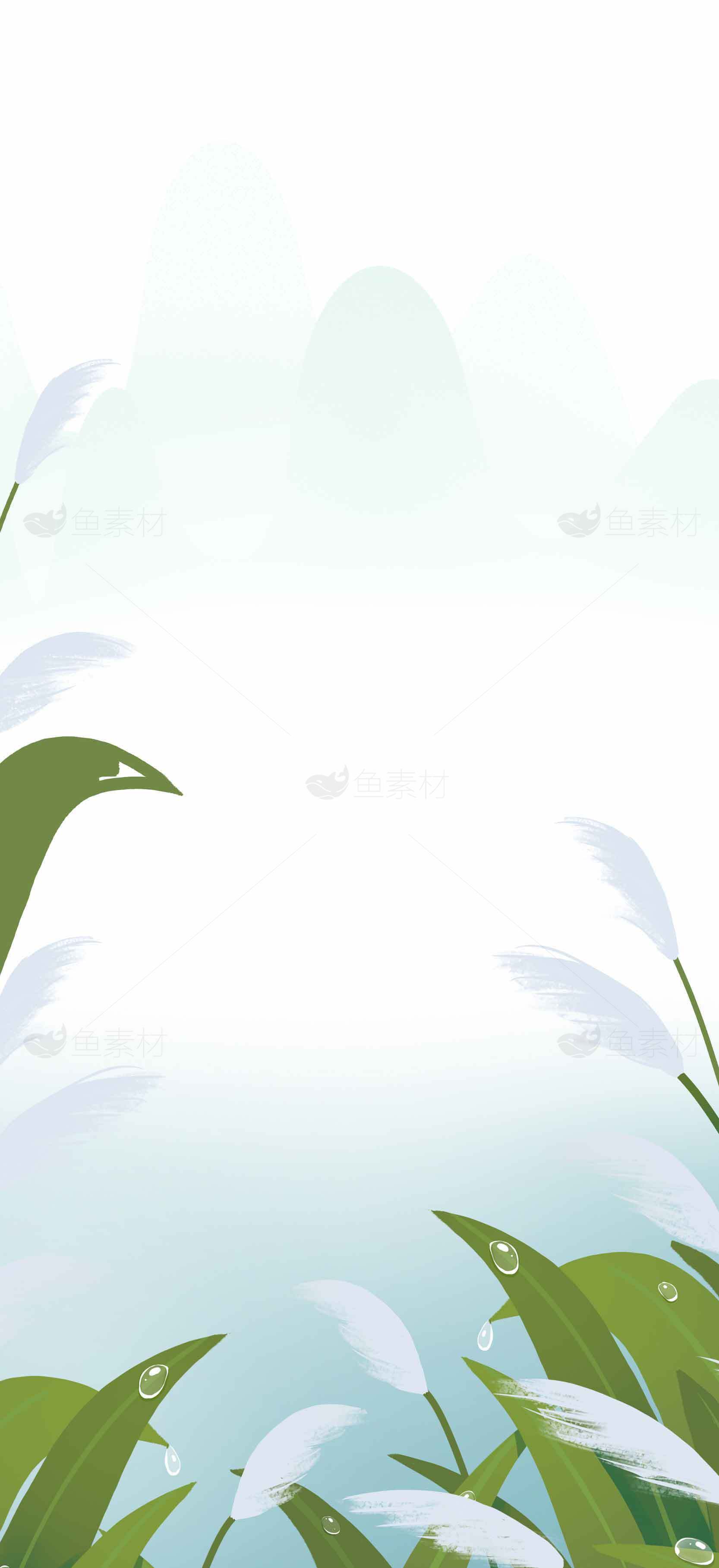 清新自然芦苇背景图片素材