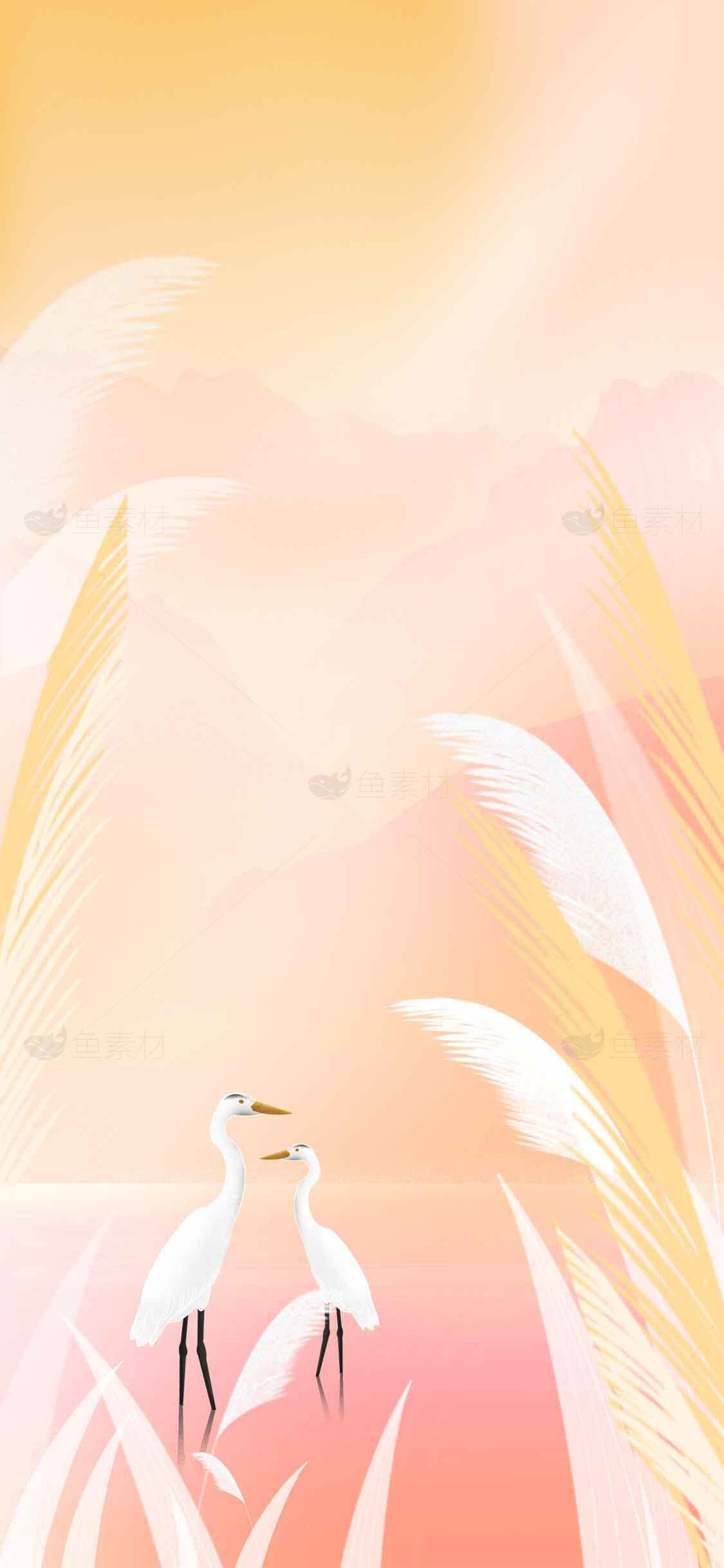 唯美白鹭与芦苇荡背景插画图片素材