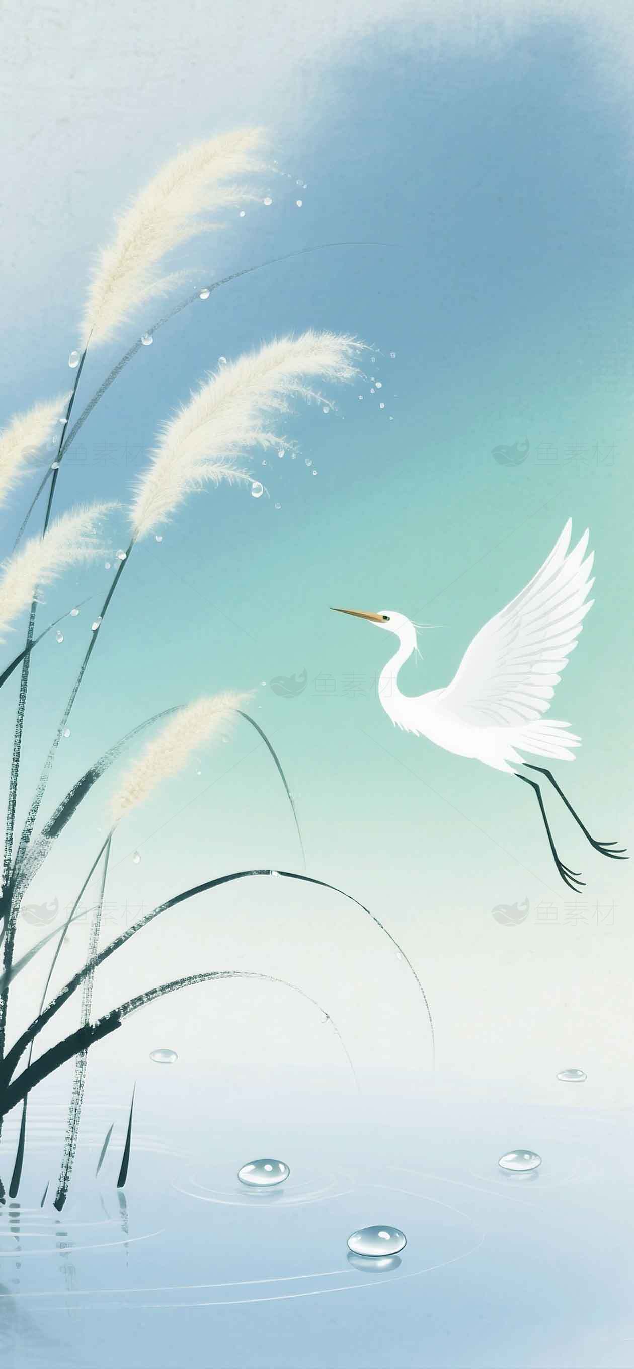 唯美水墨画白鹭与芦苇背景图片素材