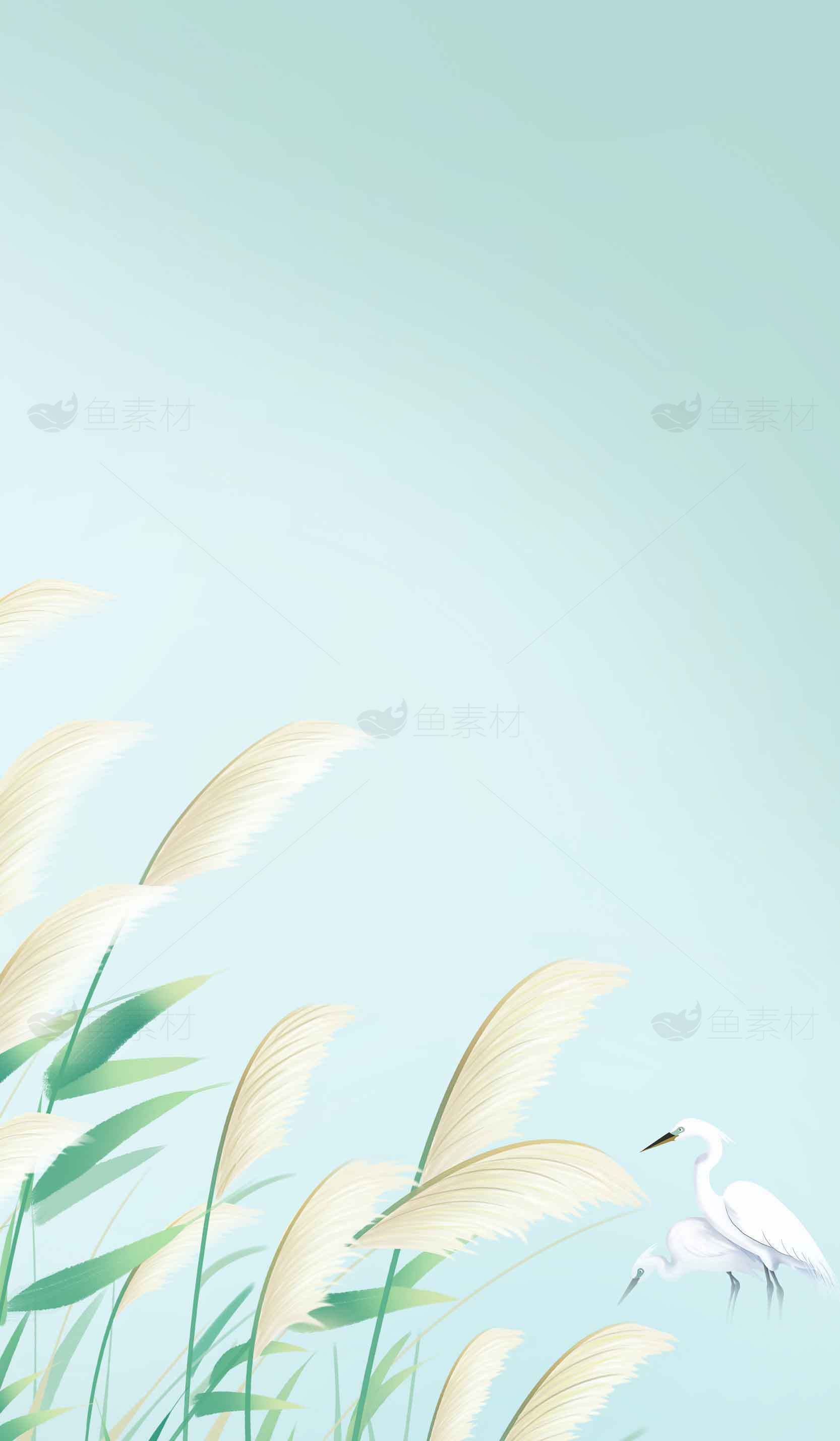 清新自然的芦苇与白鹭插画背景素材