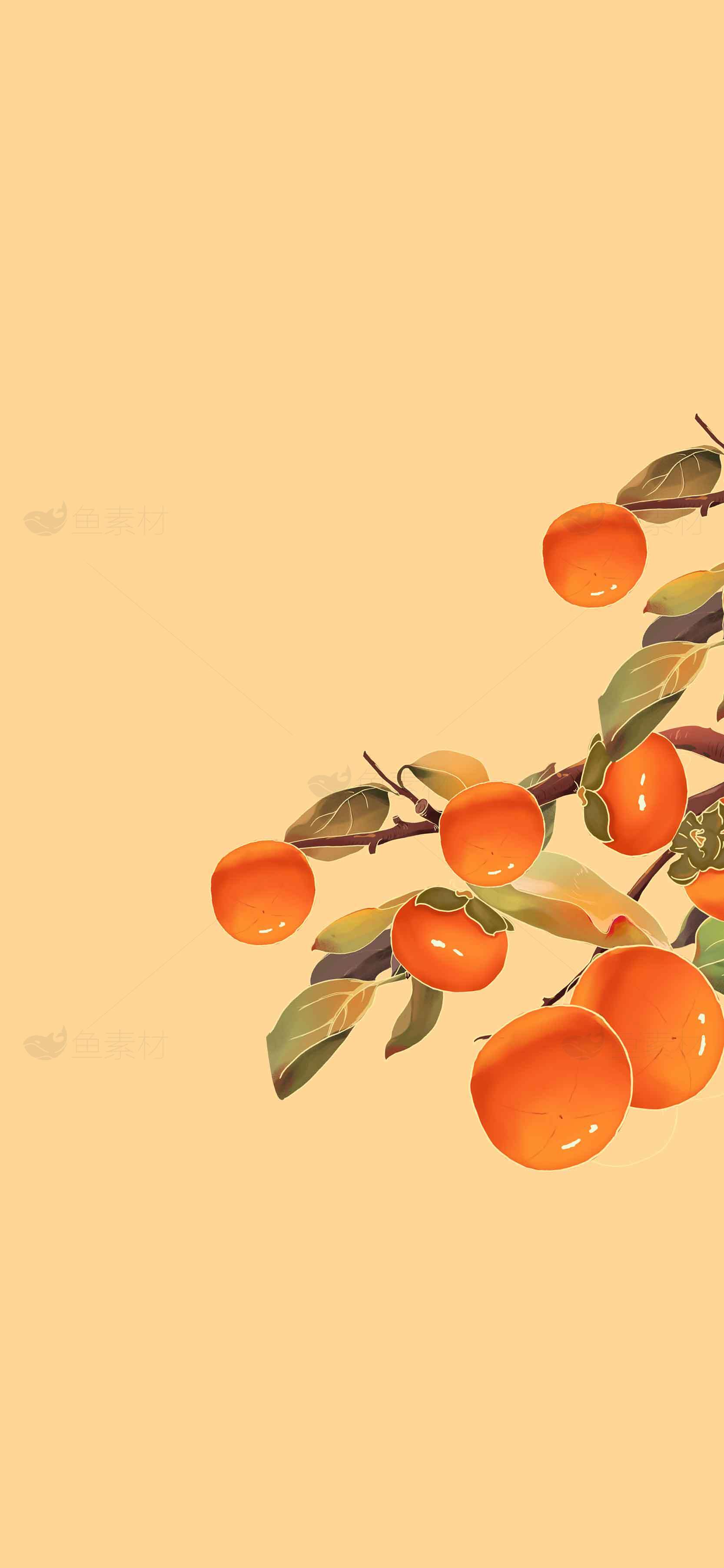 秋季柿子风格插画背景图片素材